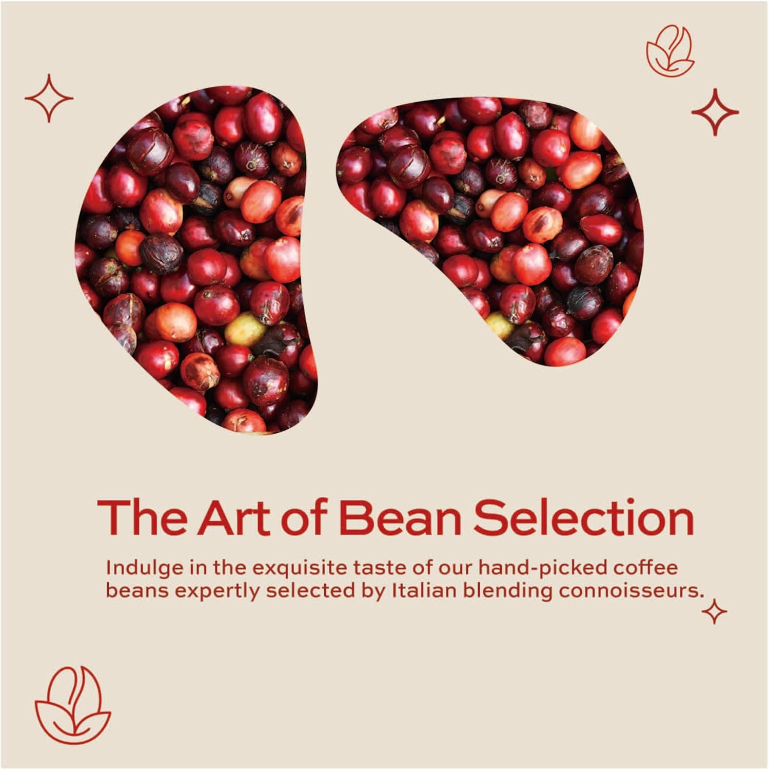 Kimbo Caffè Crema Classico Whole Coffee Beans, Light Roast, 1kg Bag 4