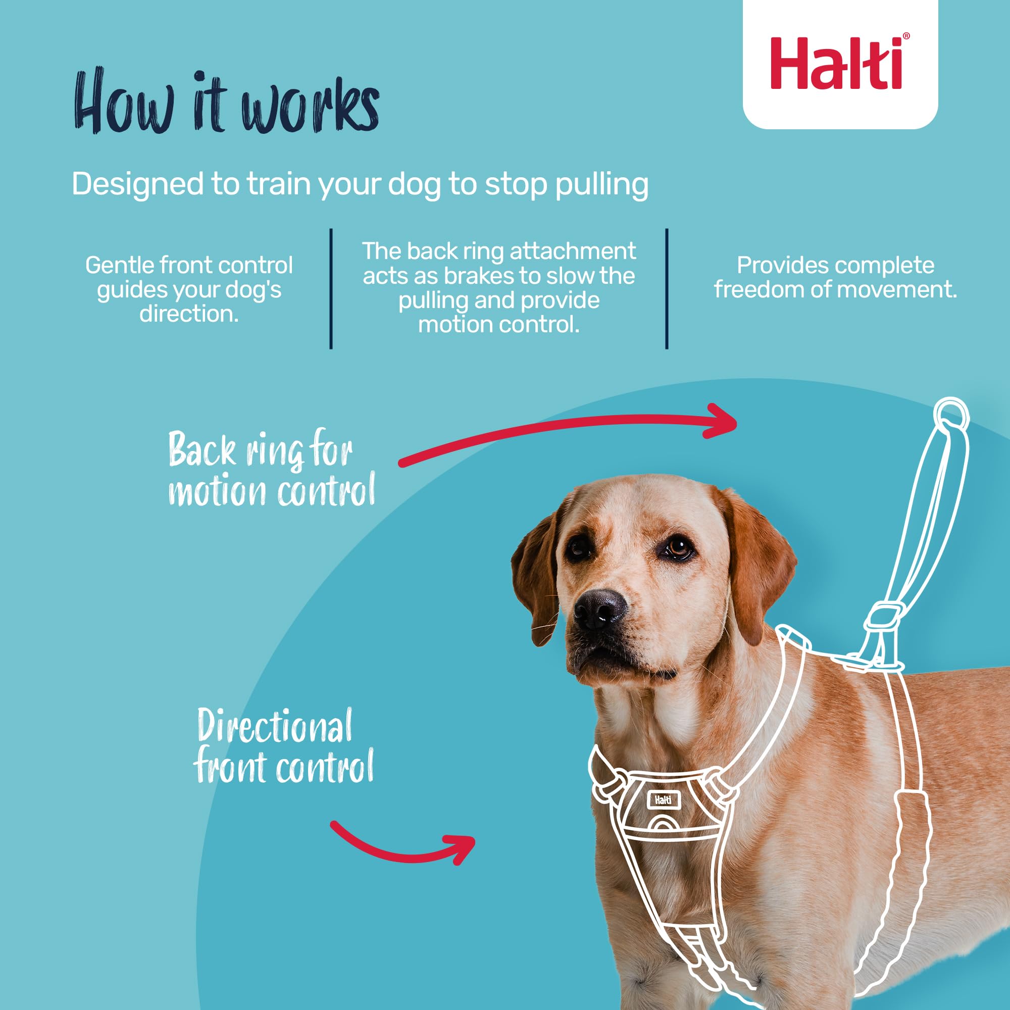 Halti No Pull Harness - Front Control Steering & Lifting Action | Size M | Cobalt Blue