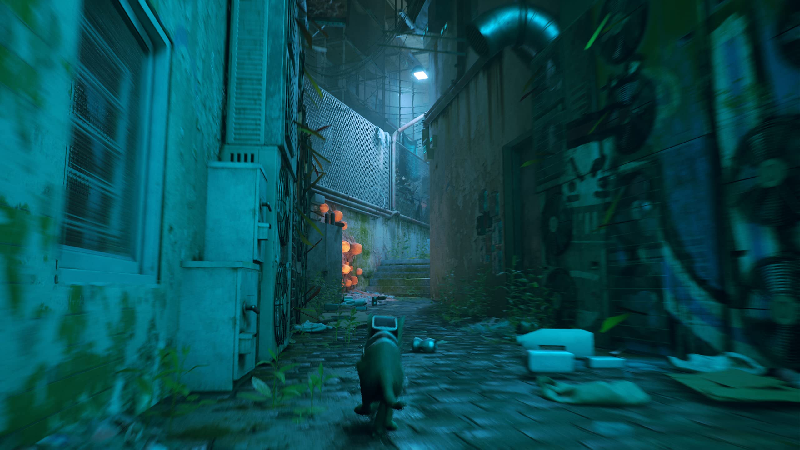 Stray – PlayStation 5 – Physische Edition 5