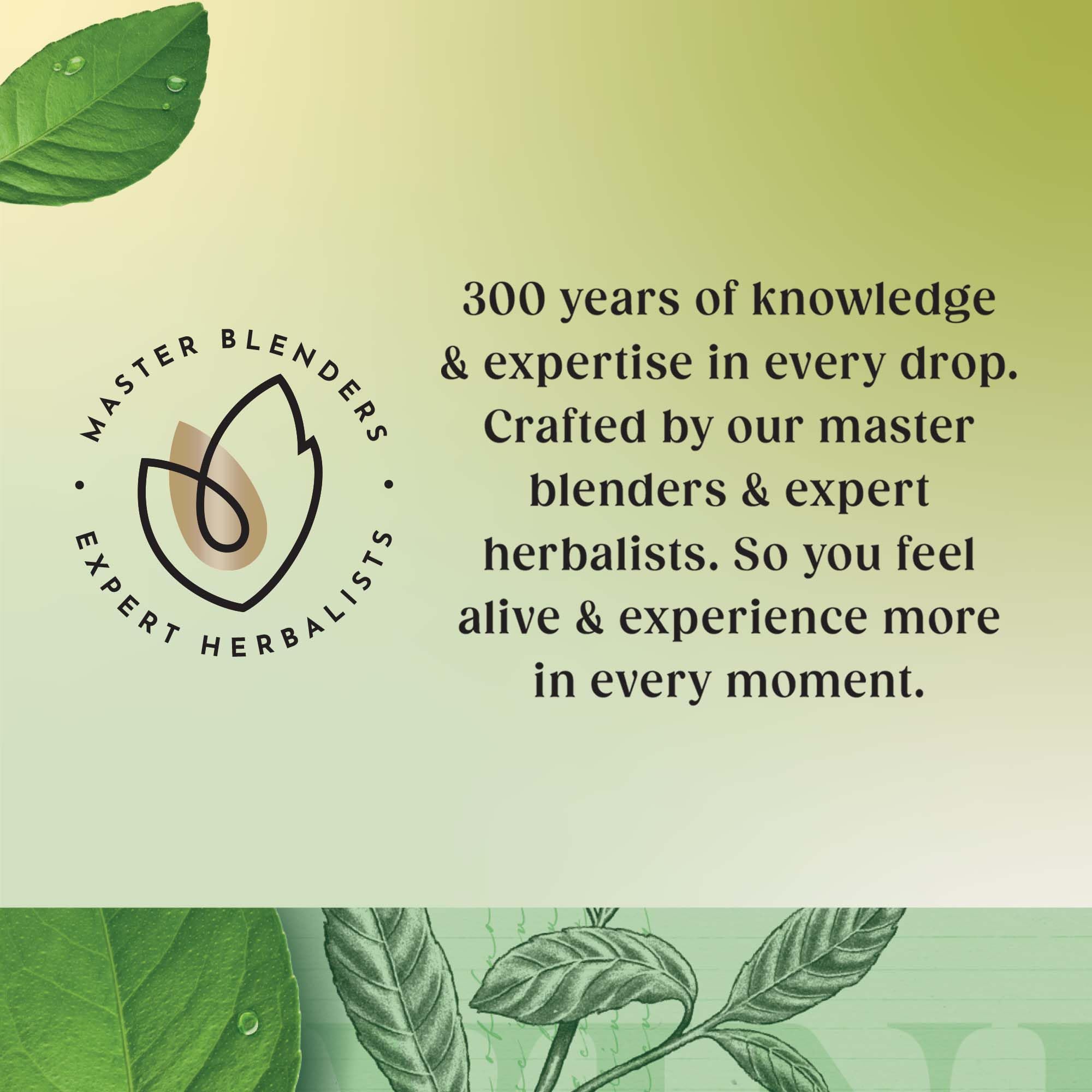 Twinings Pure Green Tea 80 Tea Bags (4 x 20 Tea Bags) 8