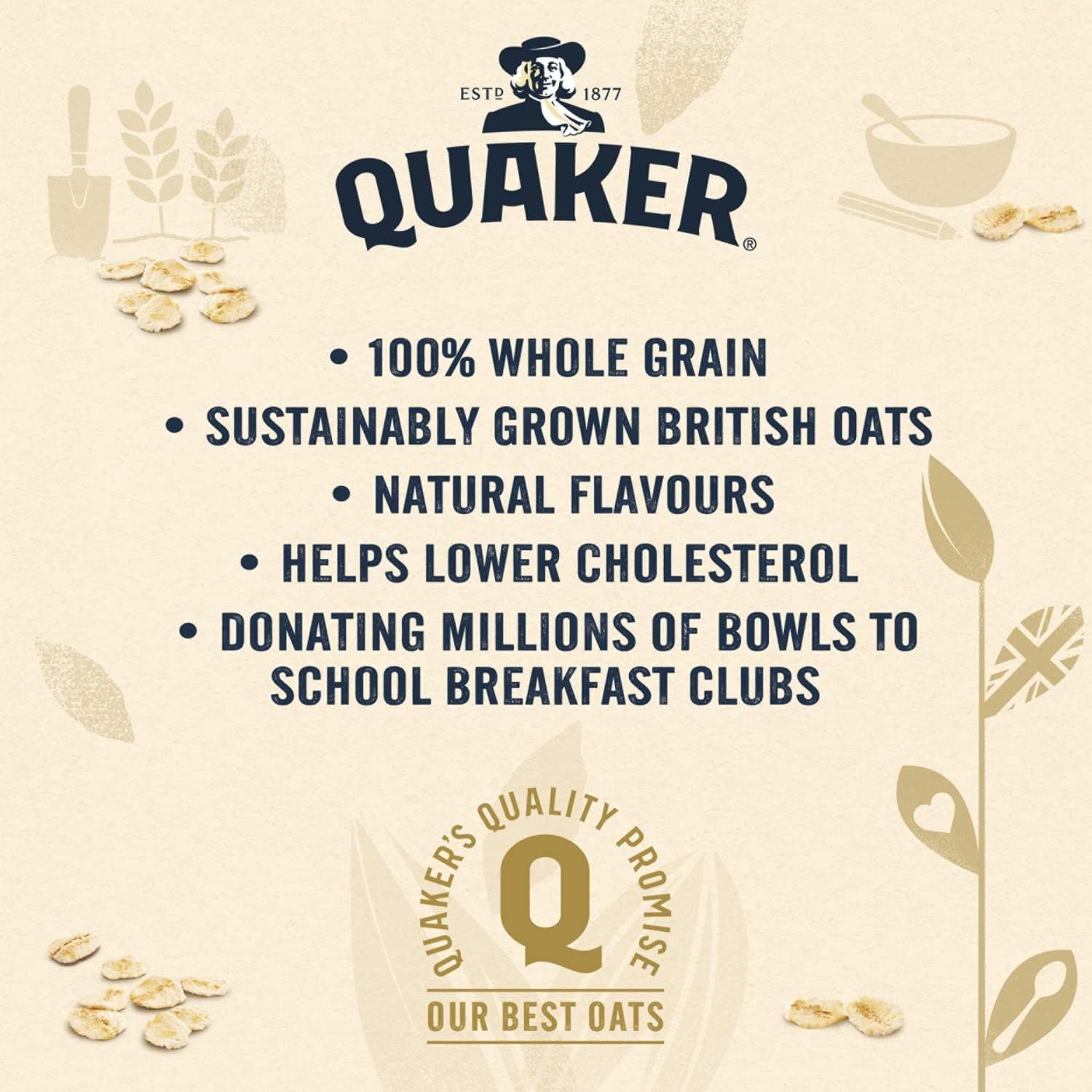 Quaker Oat So Simple Golden Syrup Porridge, 10 x 36g 7