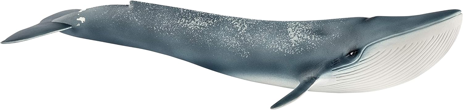 Schleich 14806 Blue Whale - Educational Play Figure for Ages 3+