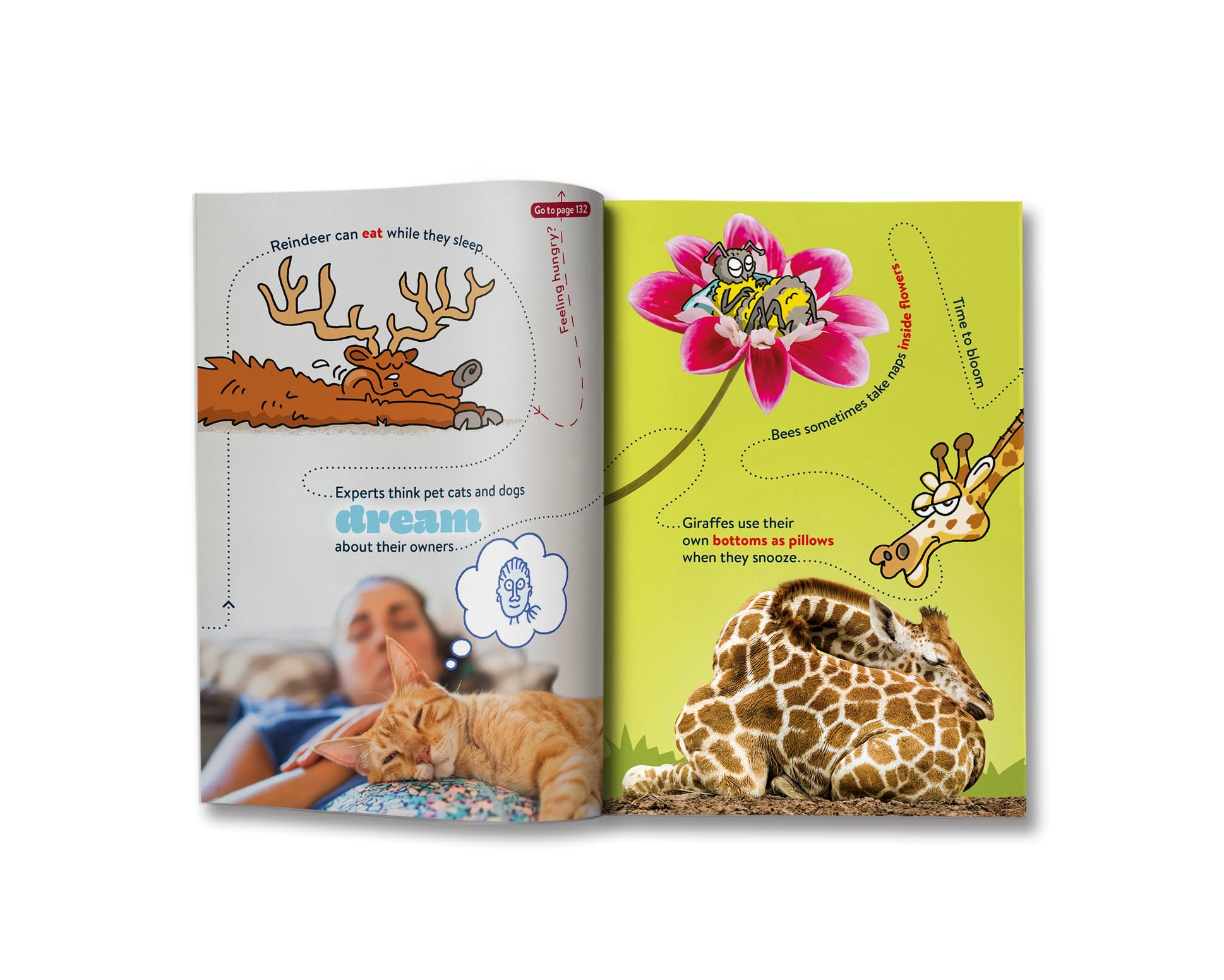 Britannica Books Cute FACTopia!: Follow the Trail of 200 Super-sweet Facts | Hardcover | Ages 8+ 5