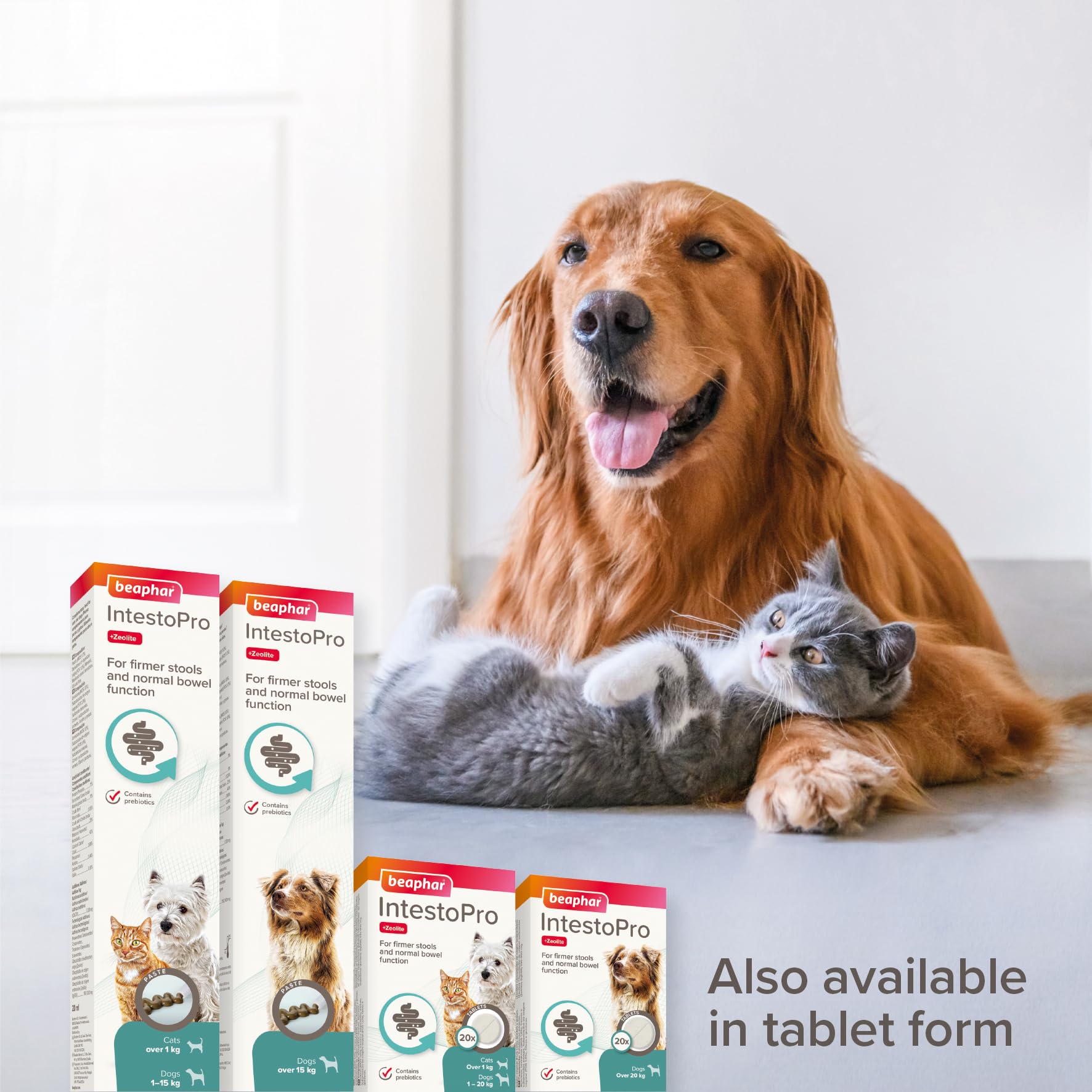 Beaphar IntestoPro Prebiotic Stool Firming Paste for Medium and Large Dogs | 2 x 20ml Tubes 6