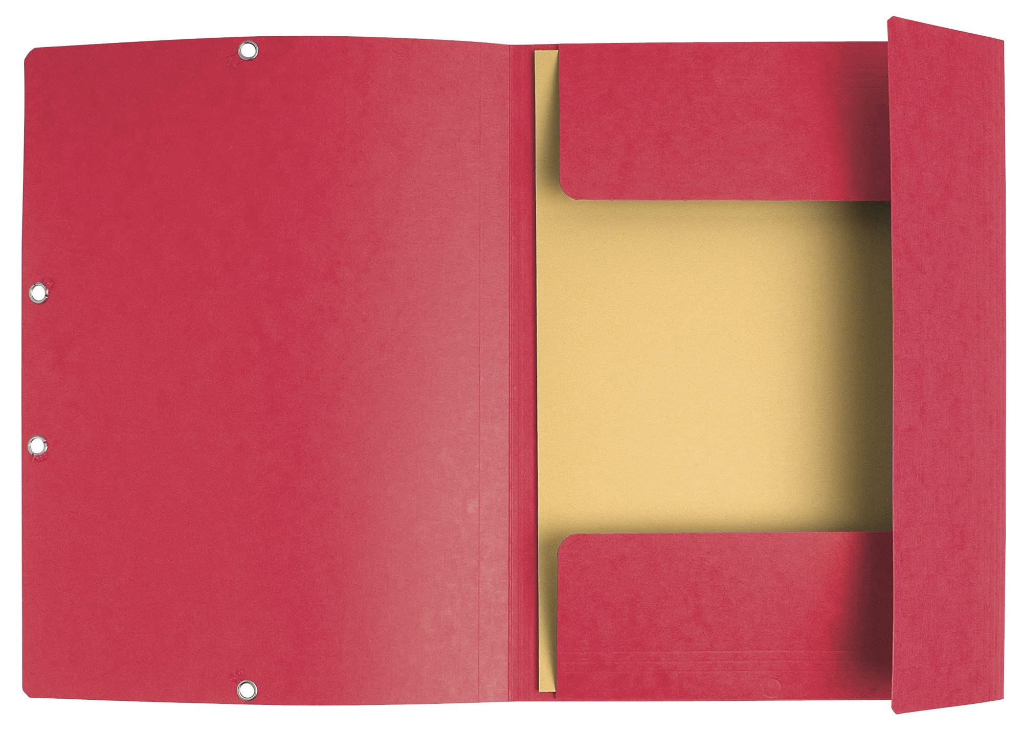Exacompta Ref 55510E Elasticated 3-Flap File Folders | A4 | Assorted Colours | Pack of 10 4