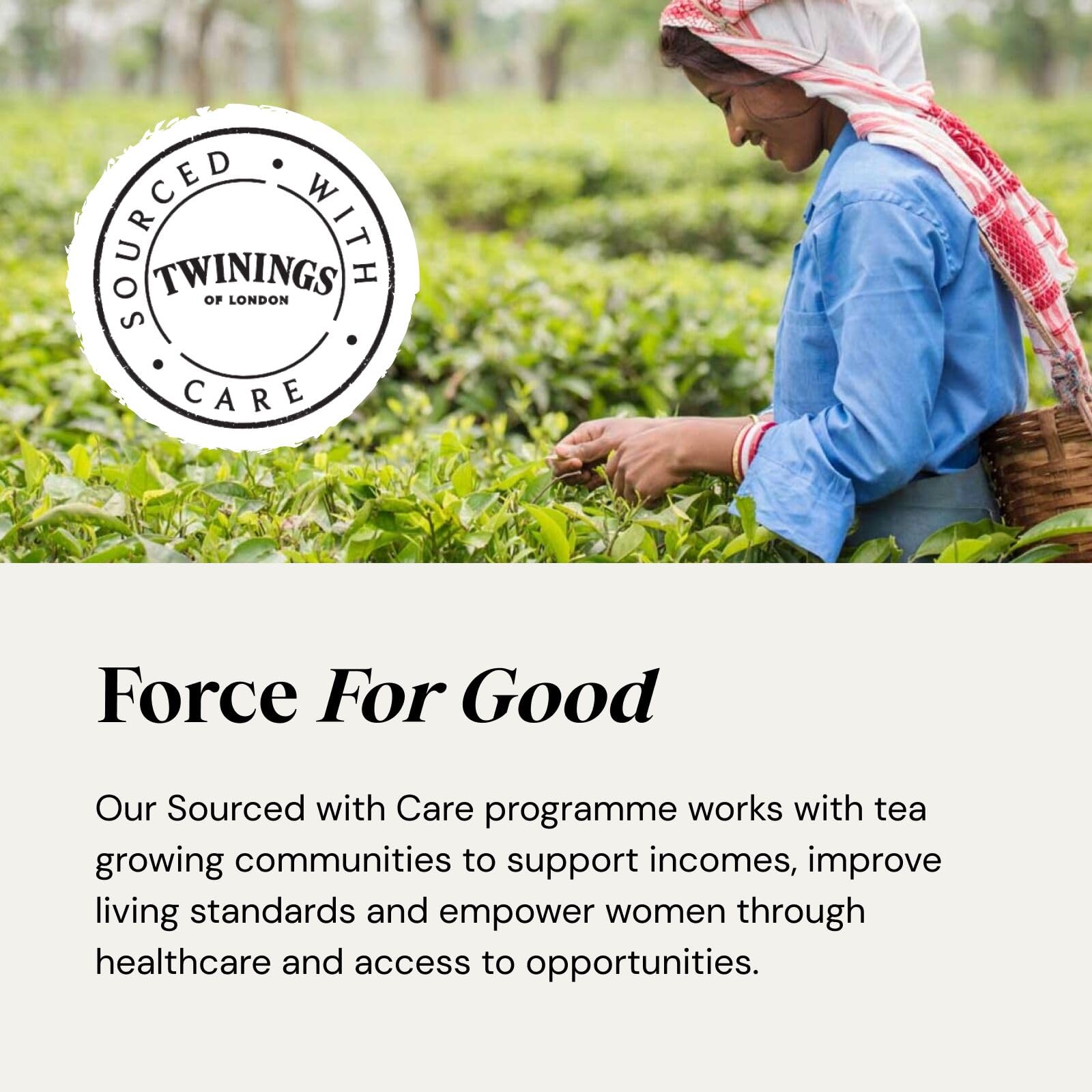 Twinings Happy Birthday Superblends Collection Gift Box - 40 Tea Bags, 8 Premium Green & Herbal Infusions 5