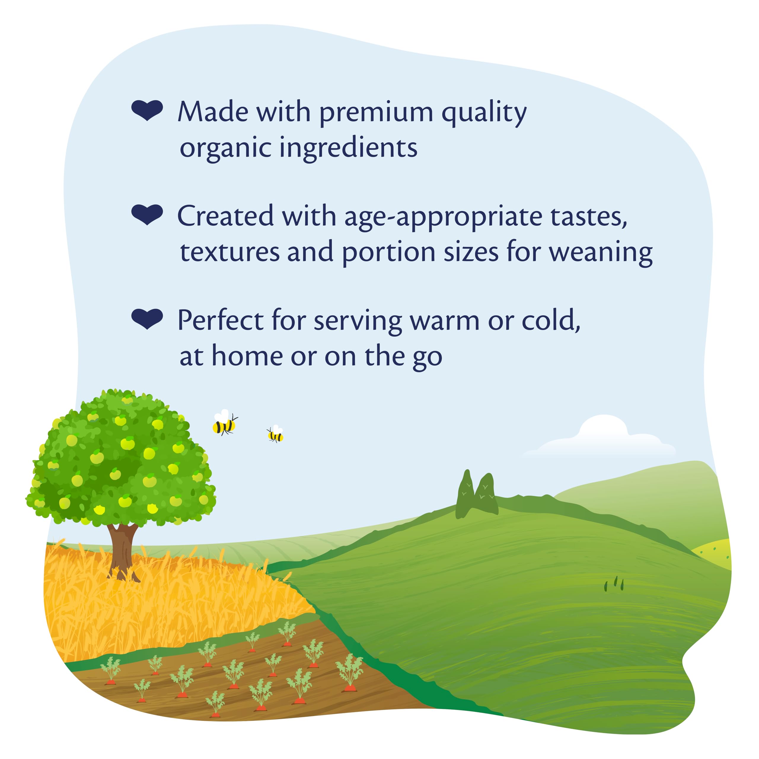 HiPP Organic Rice Pudding with Apple & Pear Baby Food Jar | 7+ Months | 160g 4