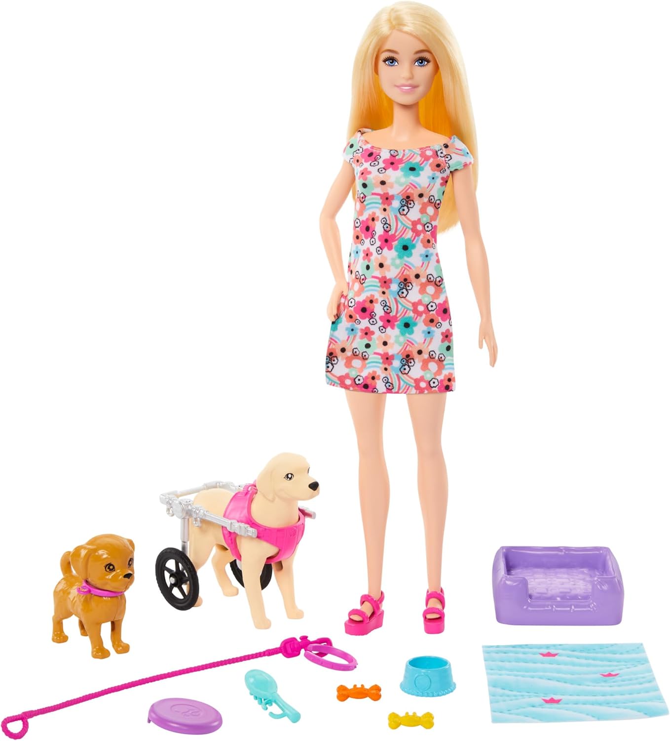 Barbie Doll with 2 Toy Dogs & Pet Accessories - Wheelchair-Inclusive Playset for Ages 3+