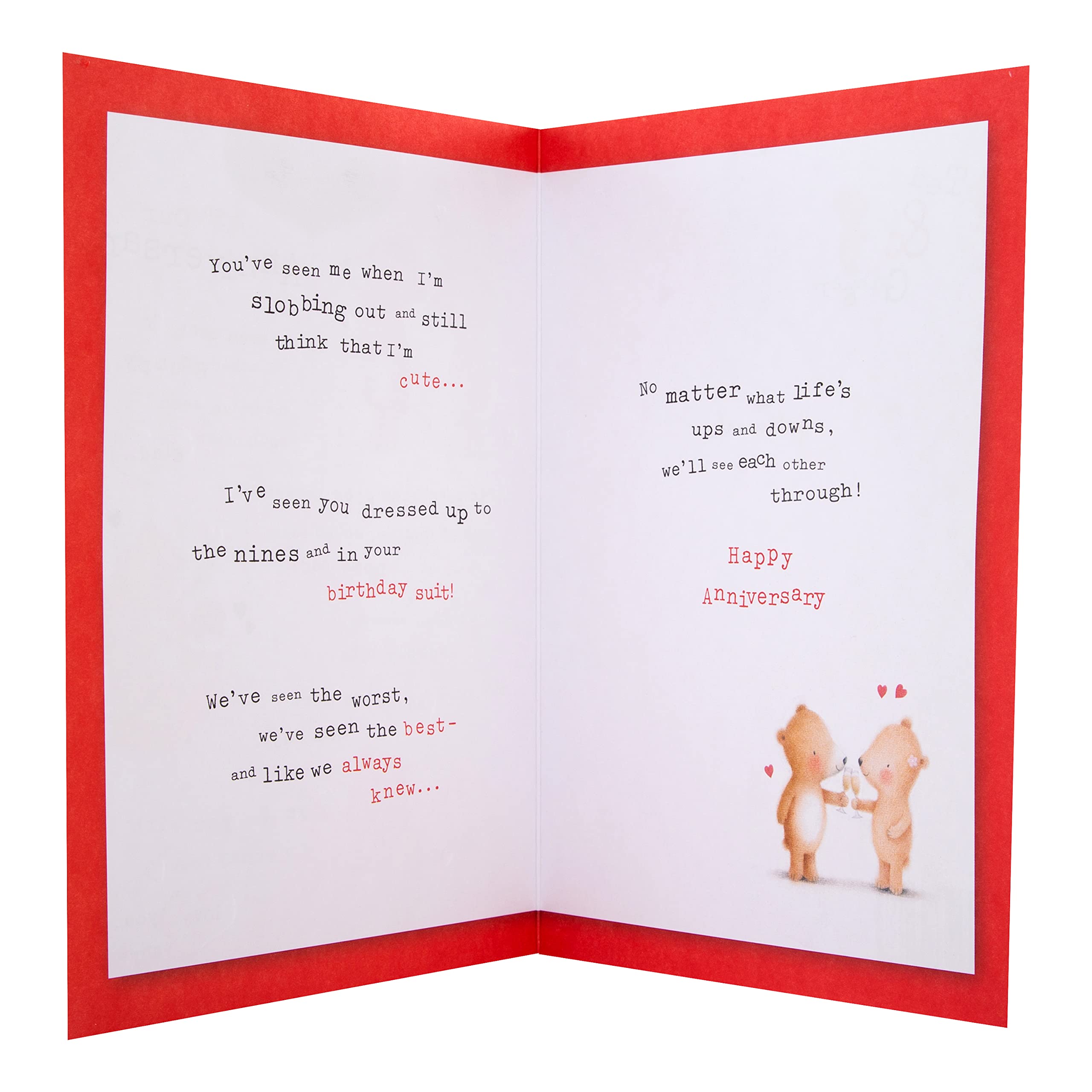 Hallmark Anniversary Card - Cute Ted & Ginger Design with 3D Heart Attachment