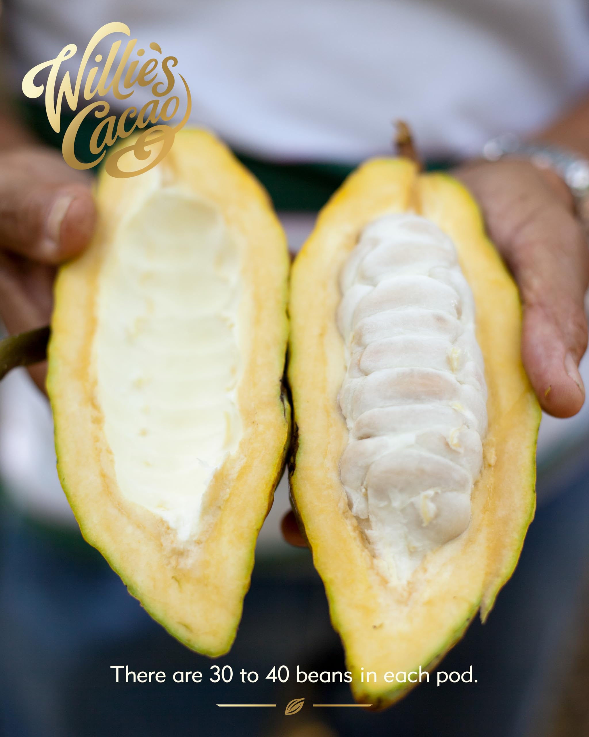 Willie's Cacao Bar - Sea Kissed Almond - Milk Chocolate with Roasted Almonds and Cornish Salt - 50g