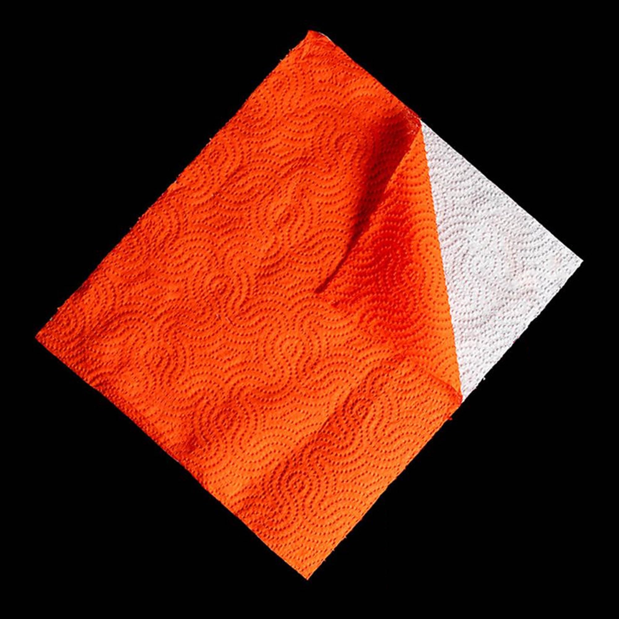 Renova Red Paper Towel 1 Roll, 2-Ply, FSC Certified, Kitchen Roll 11