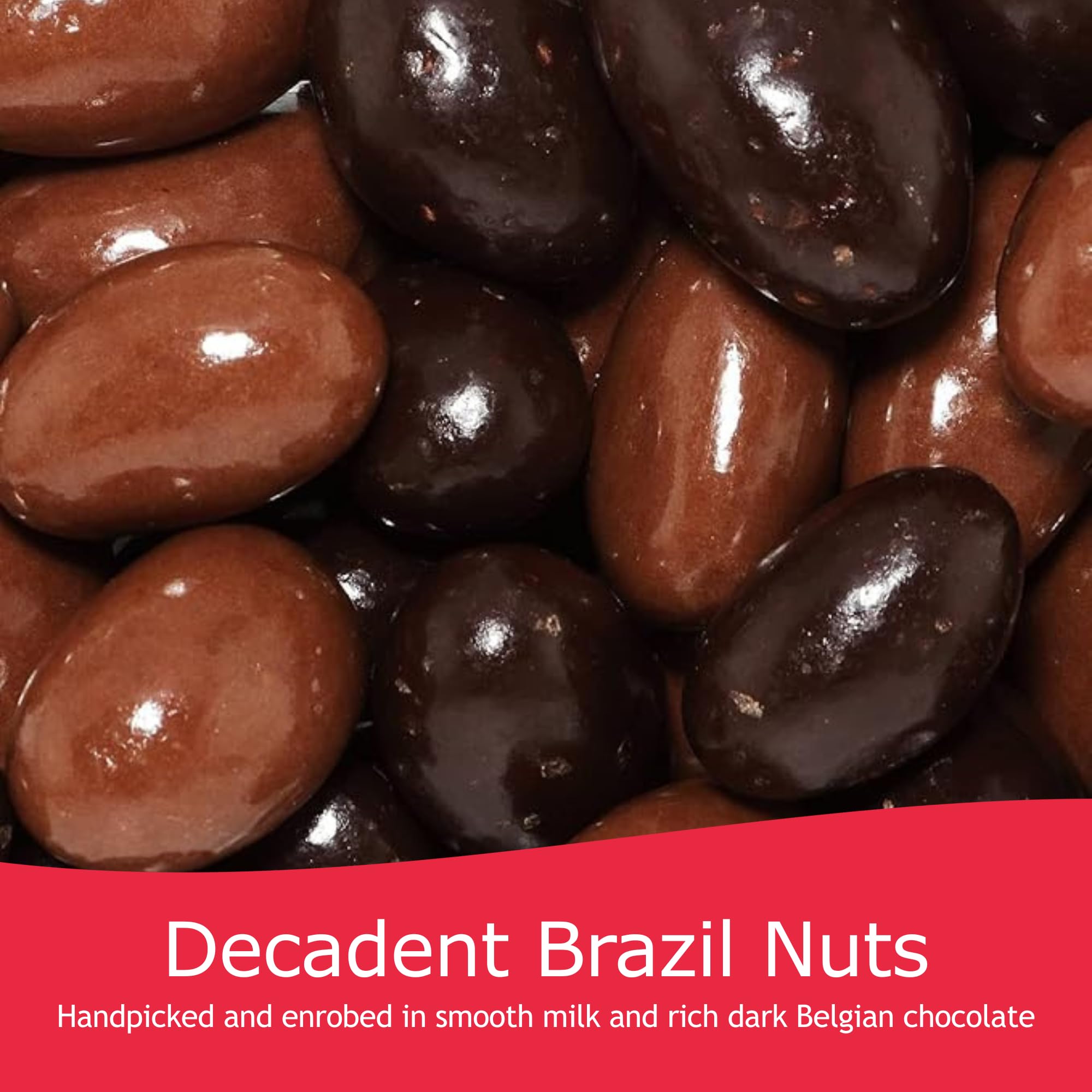 Rita Farhi - Milk & Dark Chocolate Covered Brazil Nuts Luxury Gift Jar 740g 8