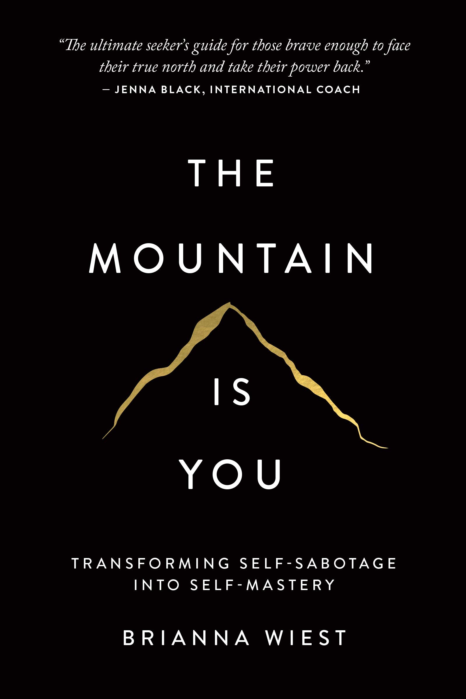 THOUGHT CATALOG The Mountain Is You: Transforming Self-Sabotage Into Self-Mastery | Paperback 1
