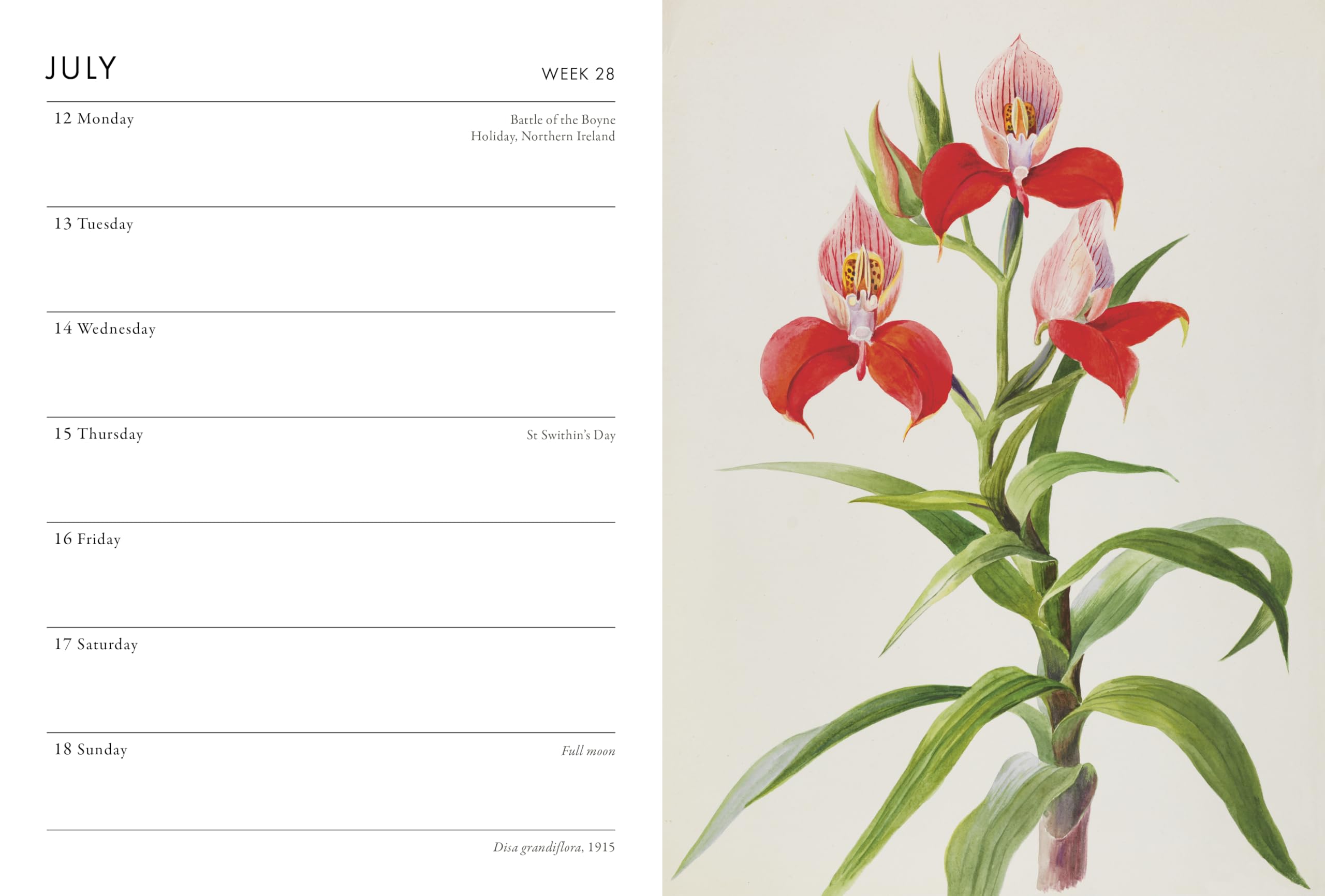 Frances Lincoln RHS Pocket Diary 2027 - Week-to-View Layout | Botanical Art Illustrations 4