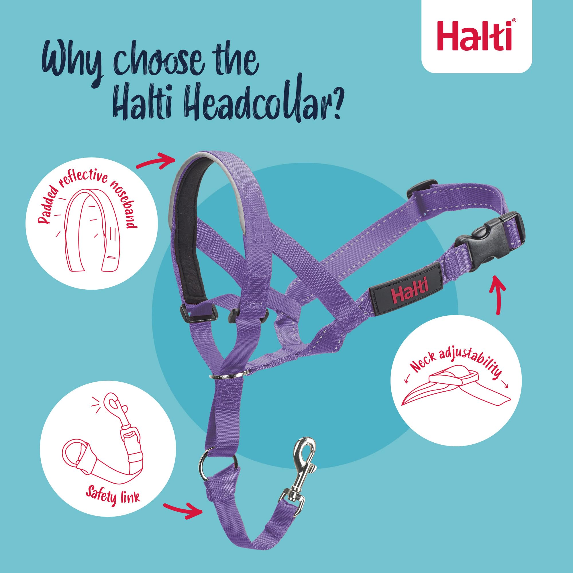 Halti Headcollar for Dogs - Stops Pulling | Size 3, Purple 3