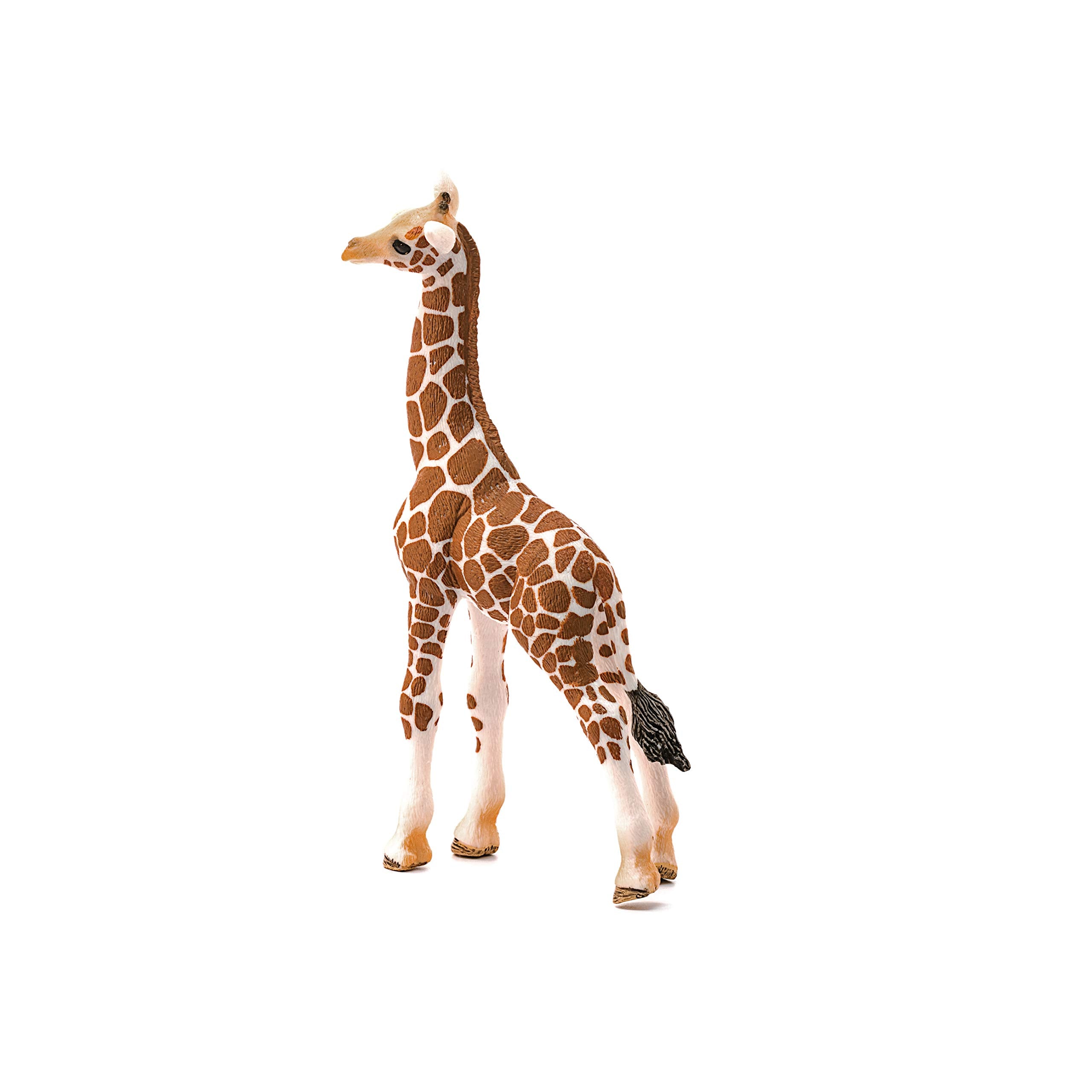 schleich Wild Life 14751 Giraffe Calf Animal Figurine - Authentic Detailed Wild Giraffe Calf Toy Education, Imagination, and Play - Highly Durable Animal Toys Gift for Boys, Girls, Kids Ages 3+ 3