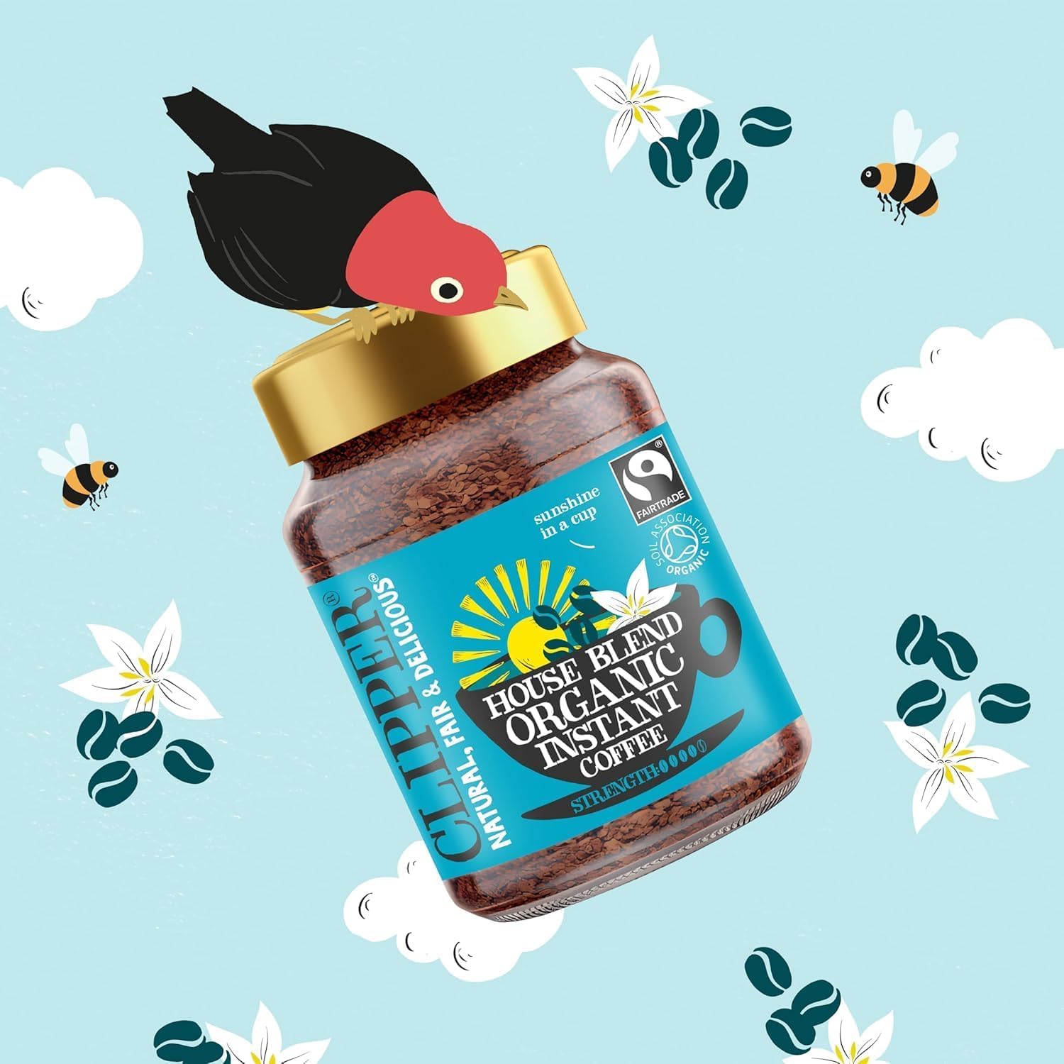Clipper Natural, Fair & Delicious Organic Arabica Instant Coffee - 6 x 100g Jars | 600g Total 5