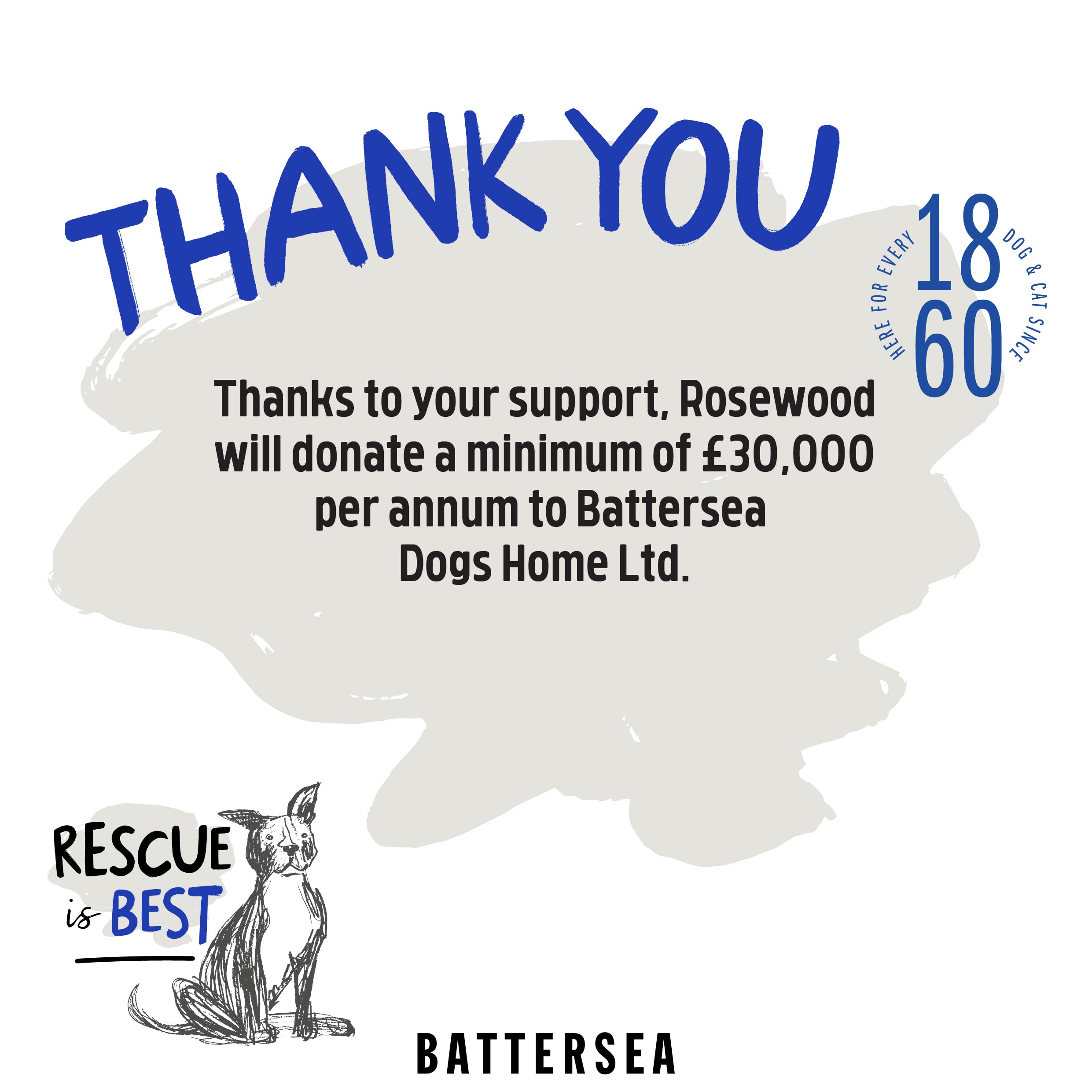 Rosewood Battersea Tennis Balls for Dogs - 3 Pack, Blue & Green, 6.5cm Diameter 9