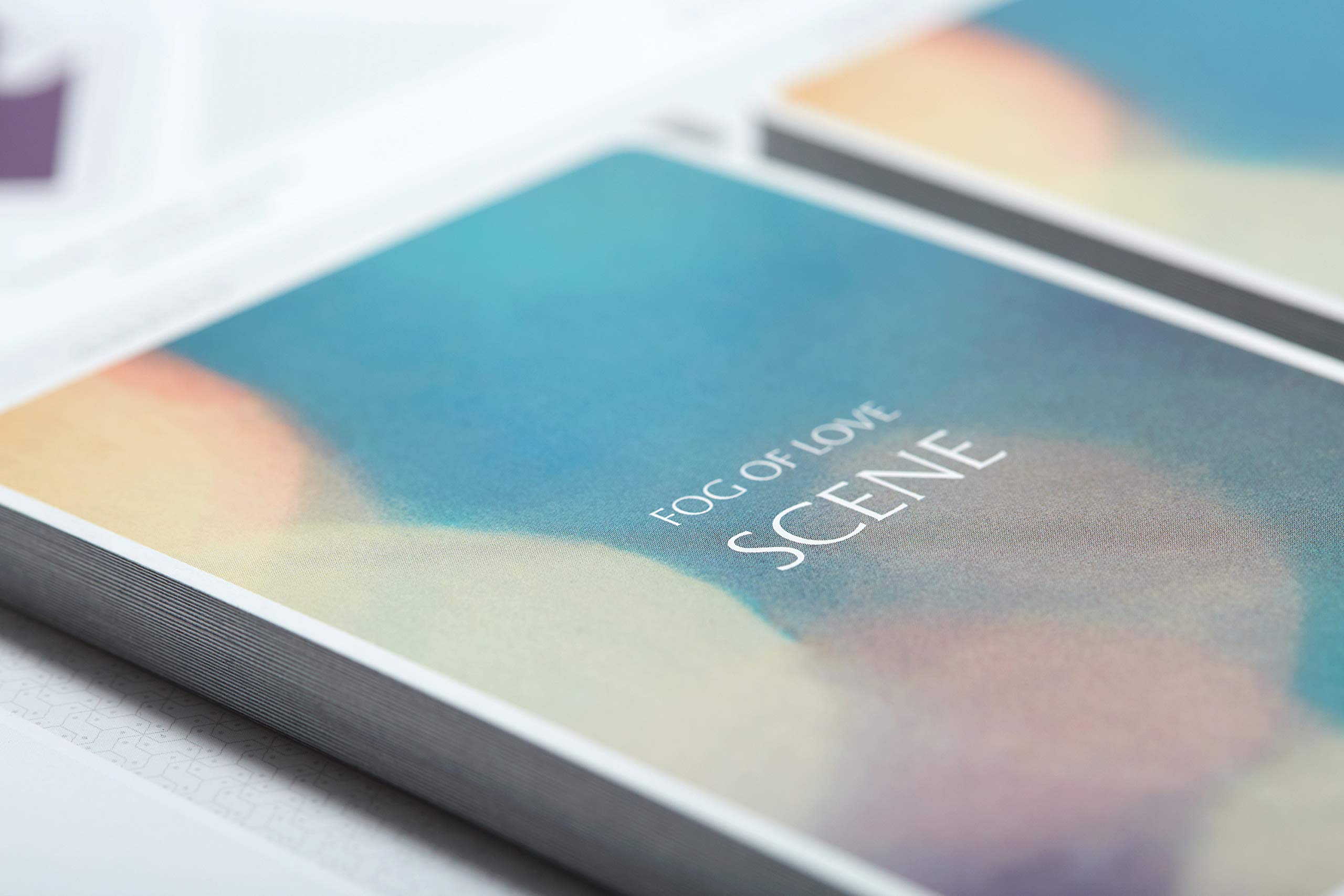 Hush Hush Projects Fog of Love - Female Cover EN Accessories 7