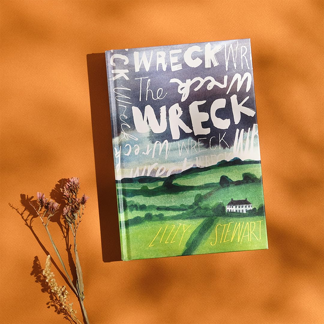 The Wreck by Lizzy Stewart - Illustrated Novel | Hardcover 4