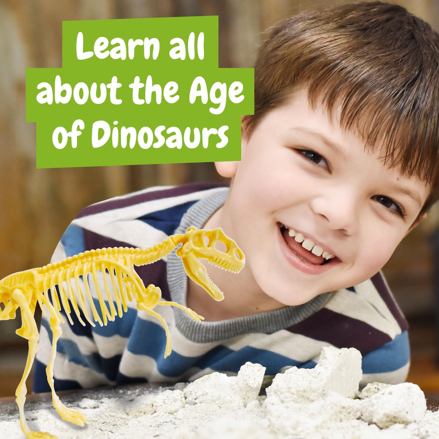 T Rex Fossil Hunting Kit - Excavate & Assemble 15-Piece Dinosaur Fossil - Science4you Age 6+ 10