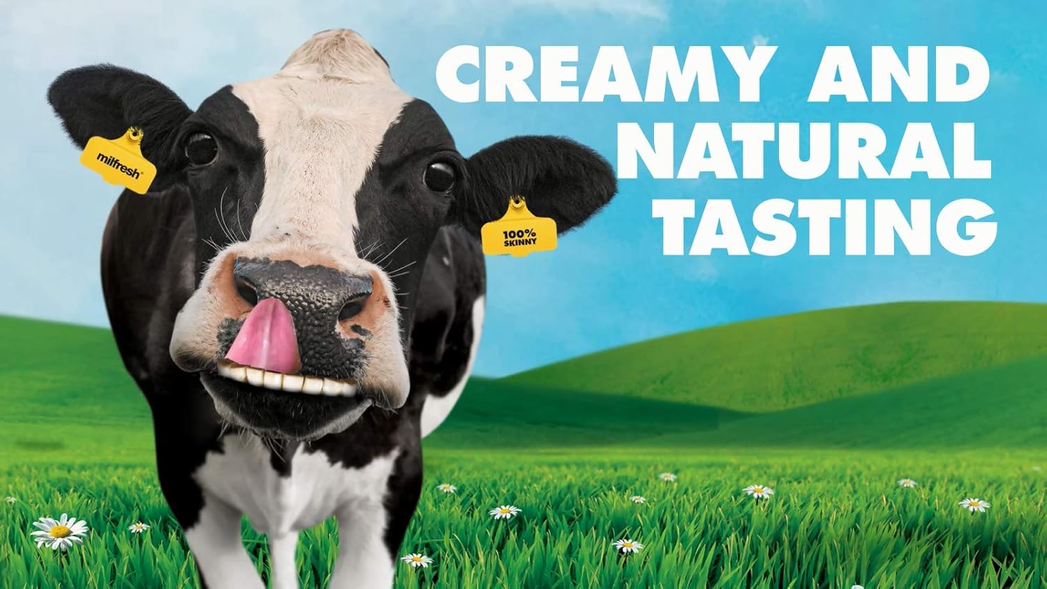 Milfresh Gold Superior Granulated Skimmed Milk 500g 6