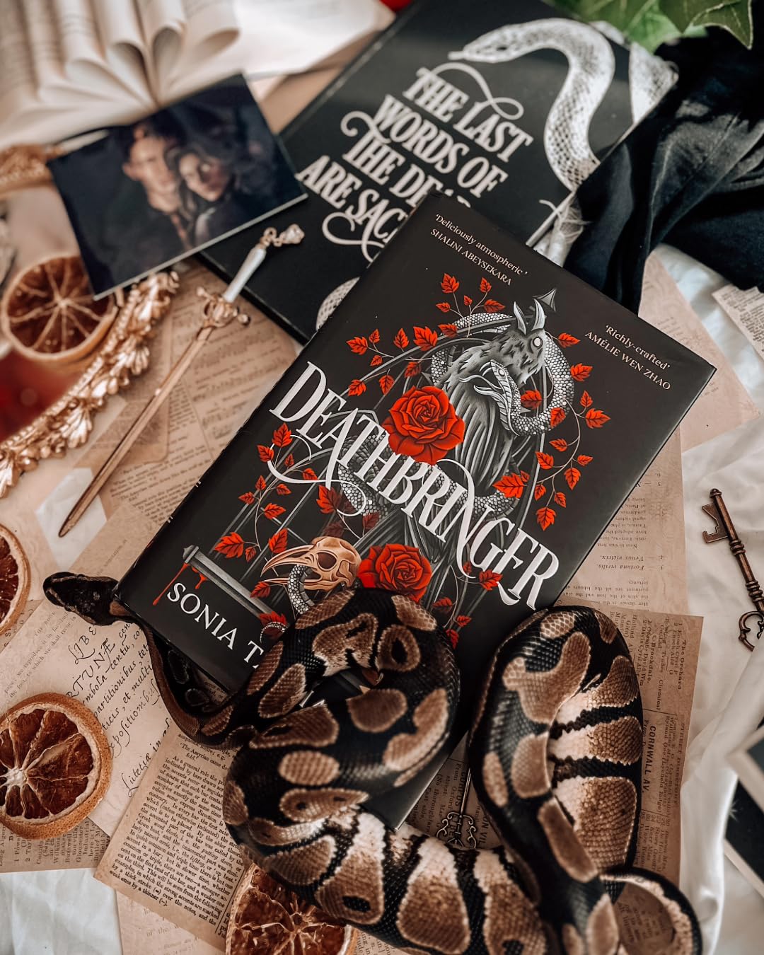 Deathbringer by Sonia Tagliareni | Hardcover | Contemporary Fantasy