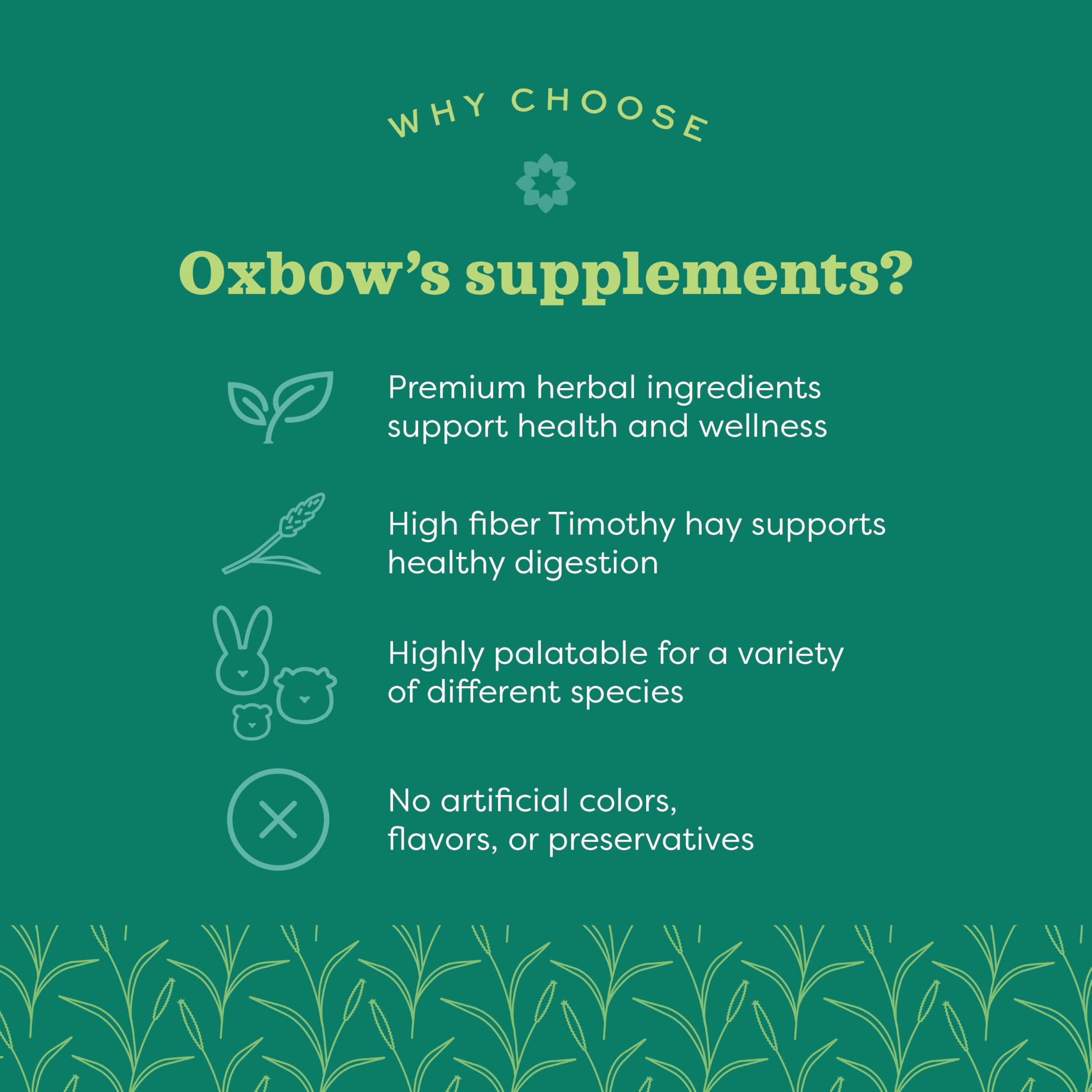 Oxbow Natural Science Joint Support Supplement for Small Animals | Glucosamine & Turmeric | 119g