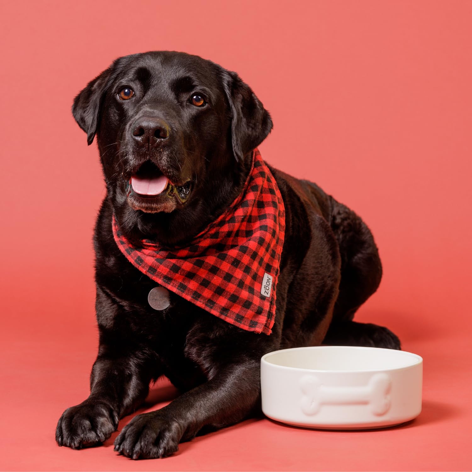 Mason Cash Colour Mix Cream Dog Bowl - 1.5 Litre | 20cm Diameter | Stoneware