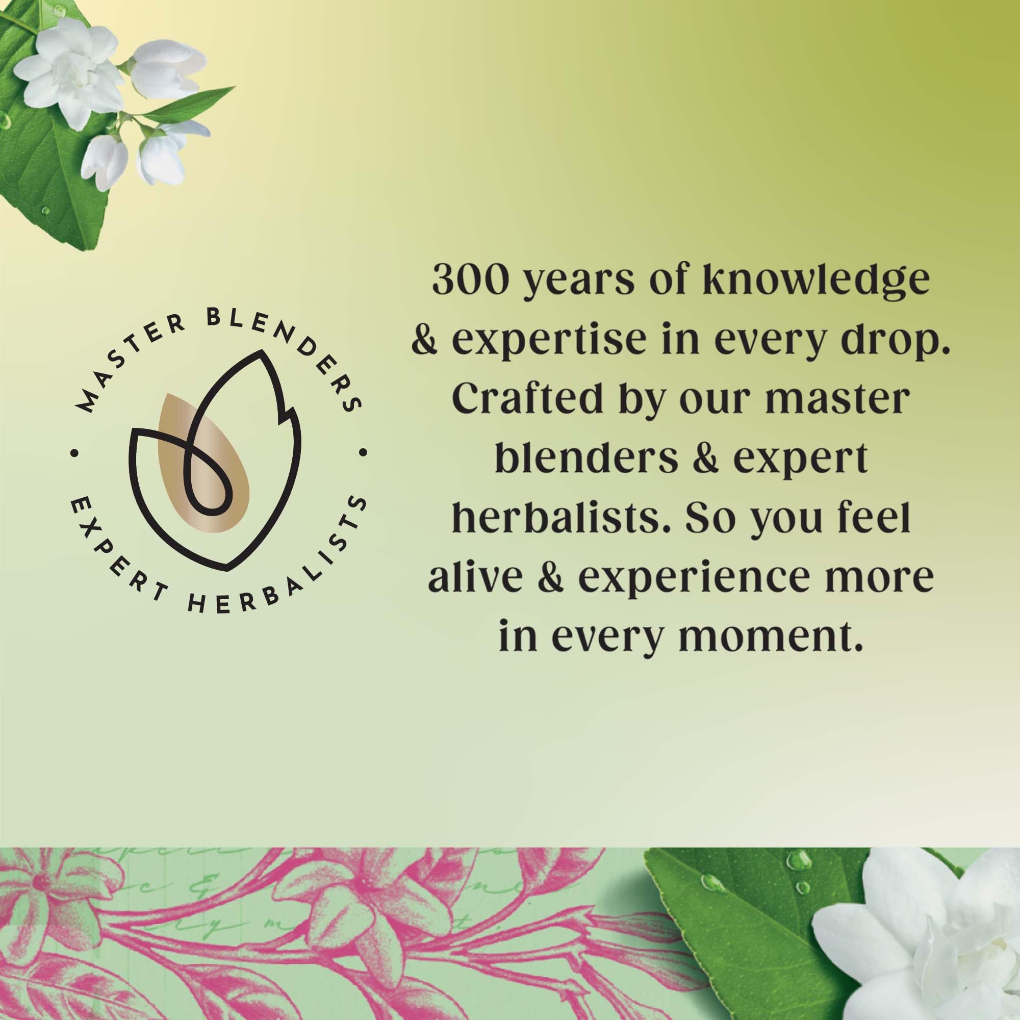 Twinings Jasmine Green Tea - Green Tea Bags (80 Tea Bags) 3