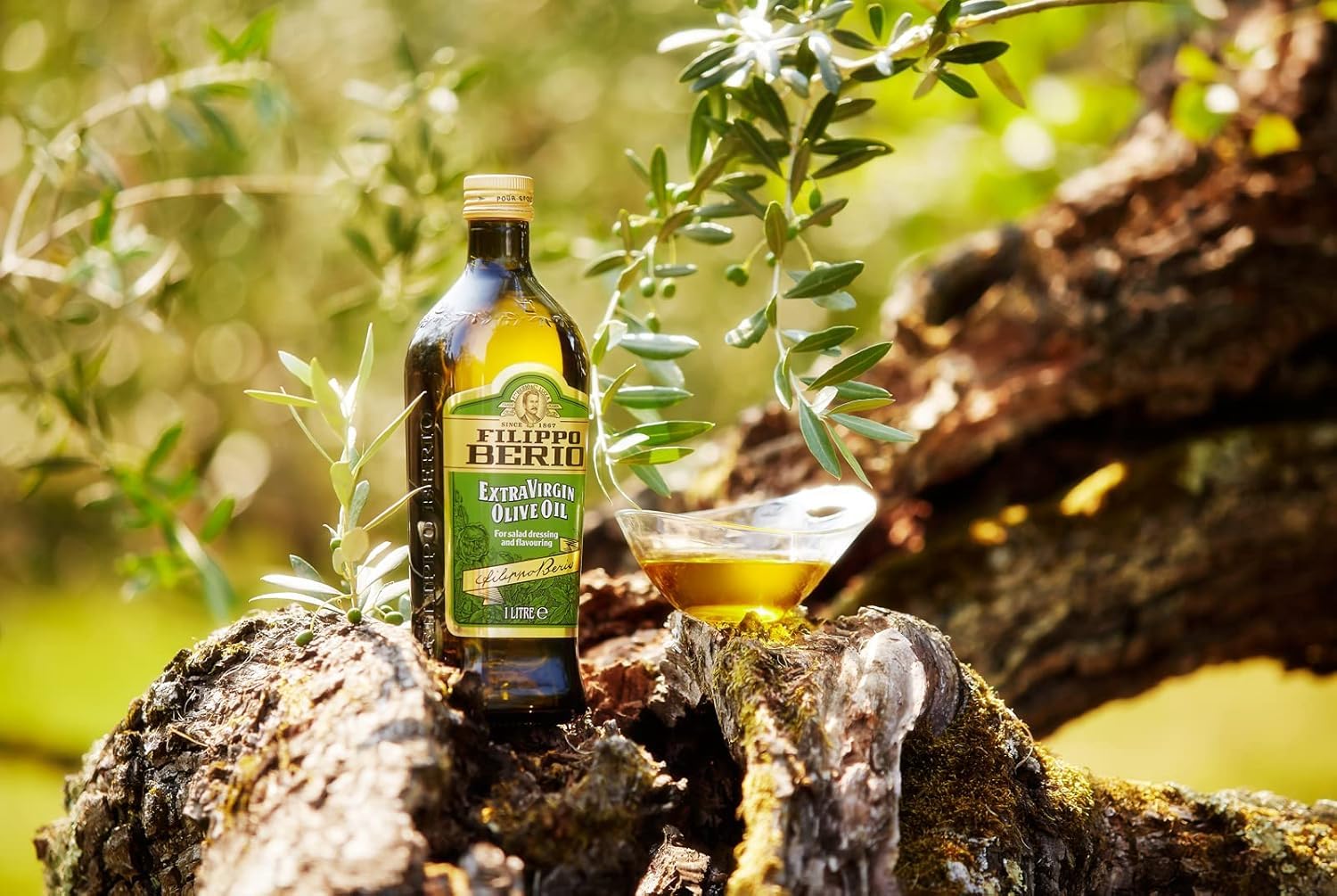 Filippo Berio Extra Virgin Olive Oil - Cold Pressed | 500ml Size 4