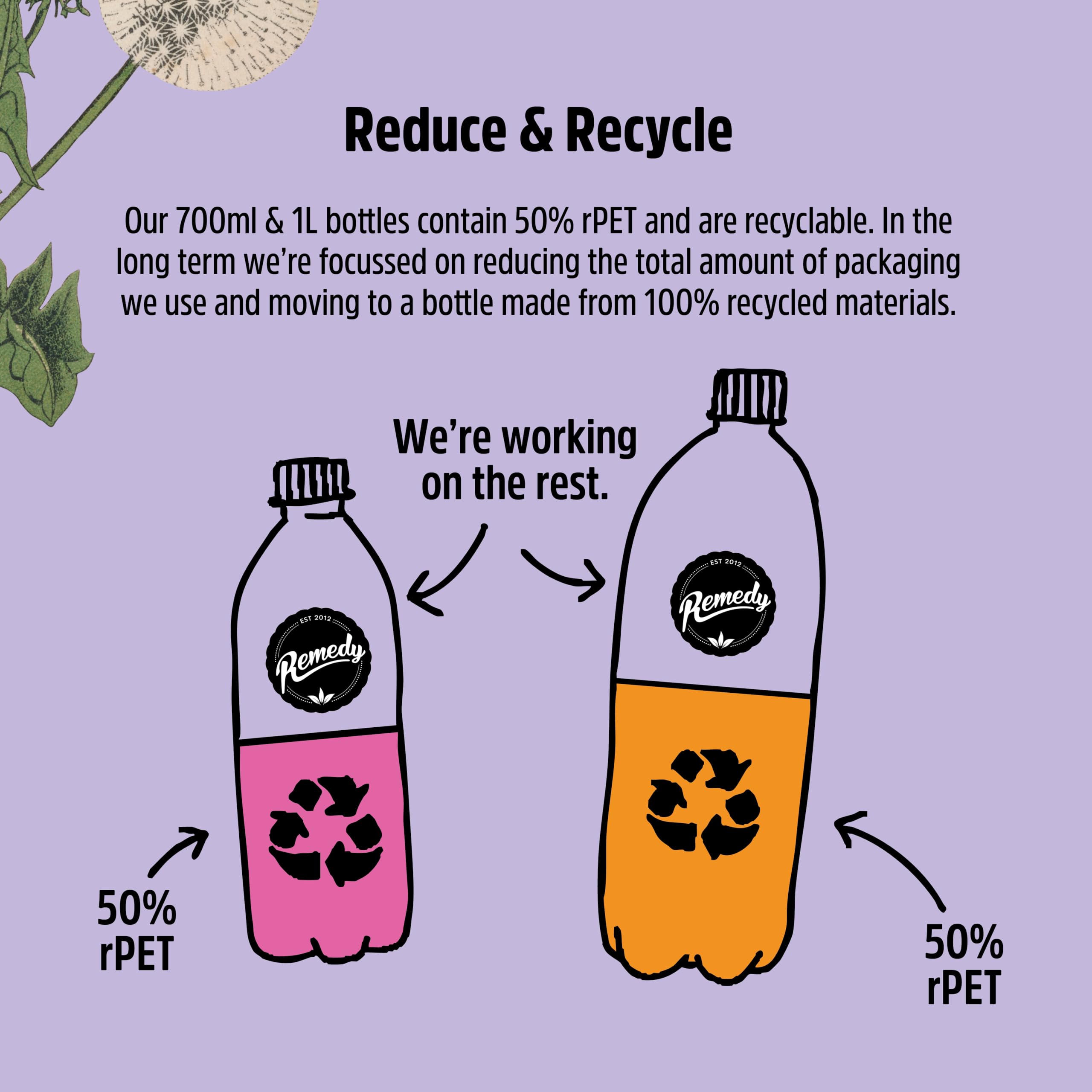 Remedy Ginger Lemon Kombucha - Sparkling Live Cultured Tea (500ml) 4