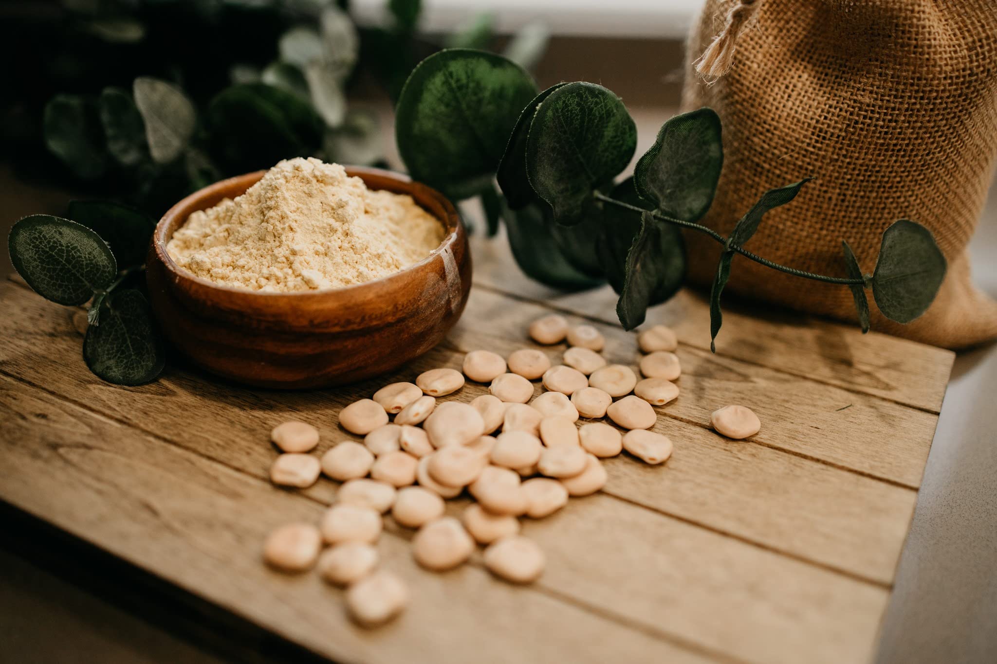 SALADITOS Lupin Flour - High Protein, Low Carb & Keto Friendly, Vegan Flour