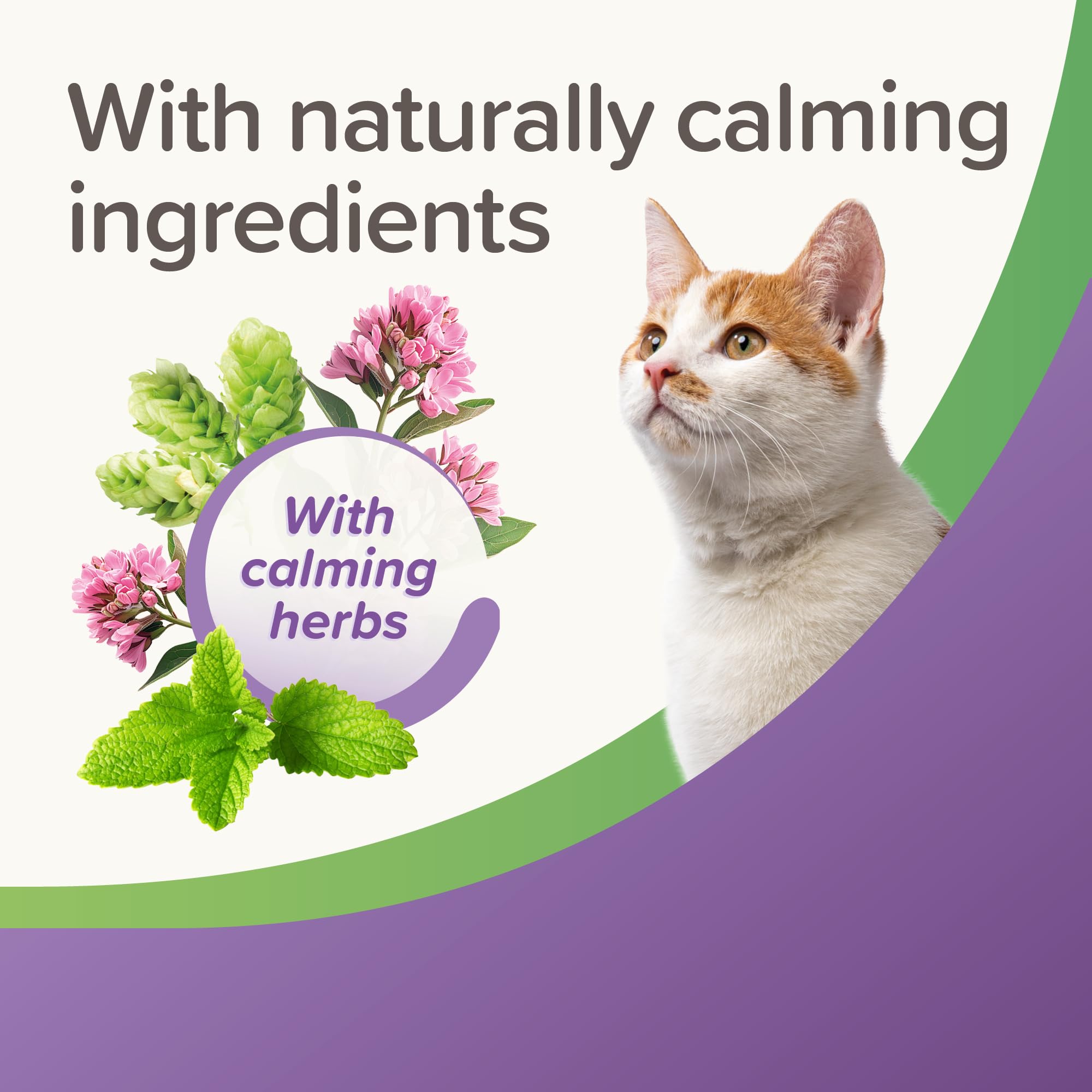 Beaphar StressLess Herbal Calming Cat Treats - Chicken Flavor | 35g Bag | All Ages 4
