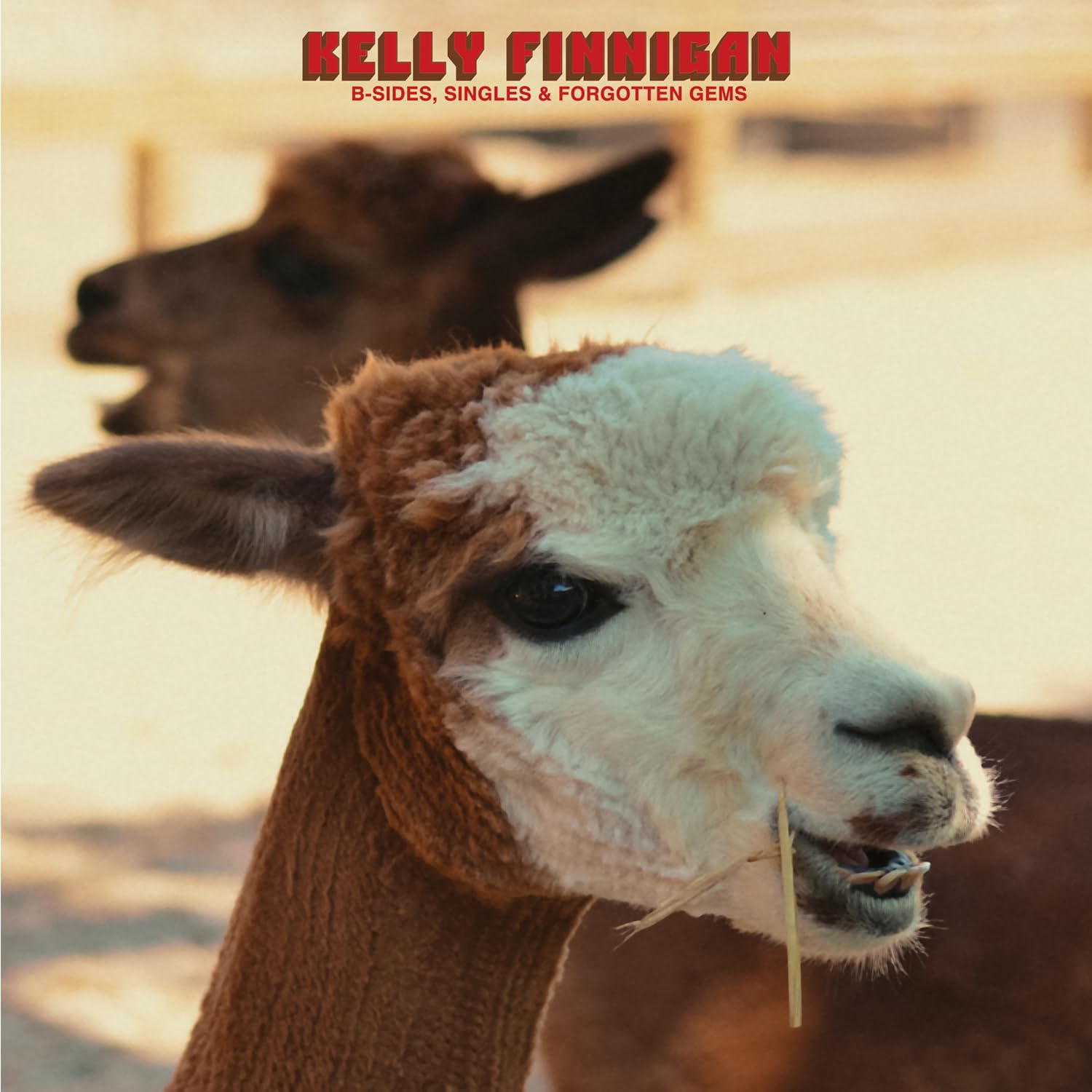 Kelly Finnigan - B-Sides, Singles & Forgotten Gems [CD]