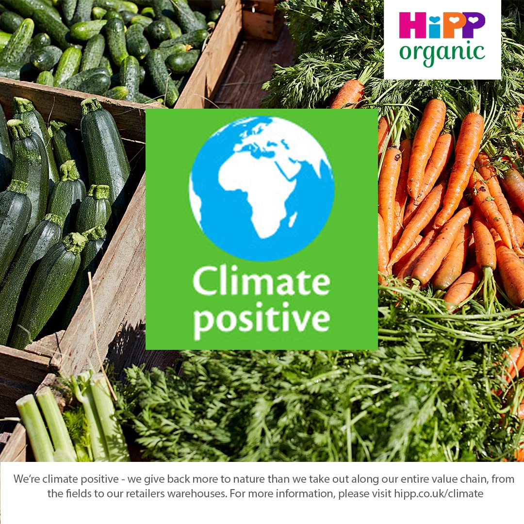 HiPP Organic Vegetable Cannelloni for Little Grown Ups Tray Meal 15+ Months 4