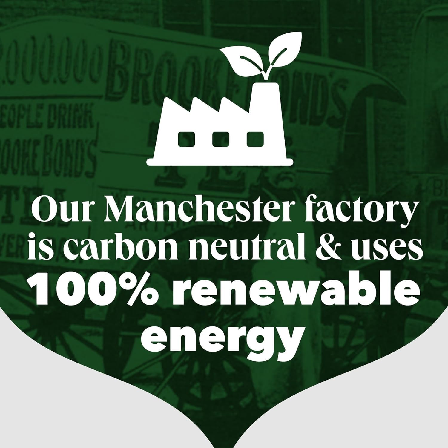 PG Tips - Original 80 Tea Bags 232g 10