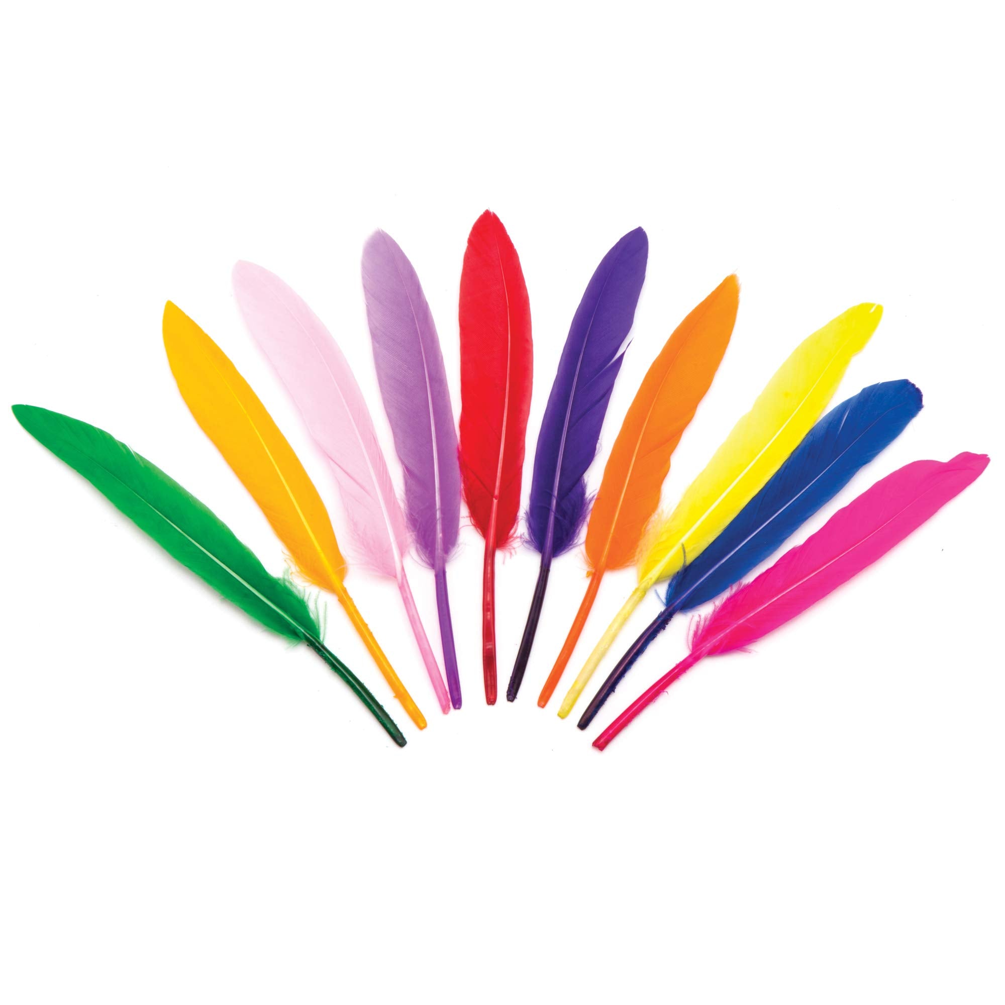 Baker Ross AR245 Mini Quill Feathers Value Pack – 80 Assorted Color Craft Feathers for Kids 3