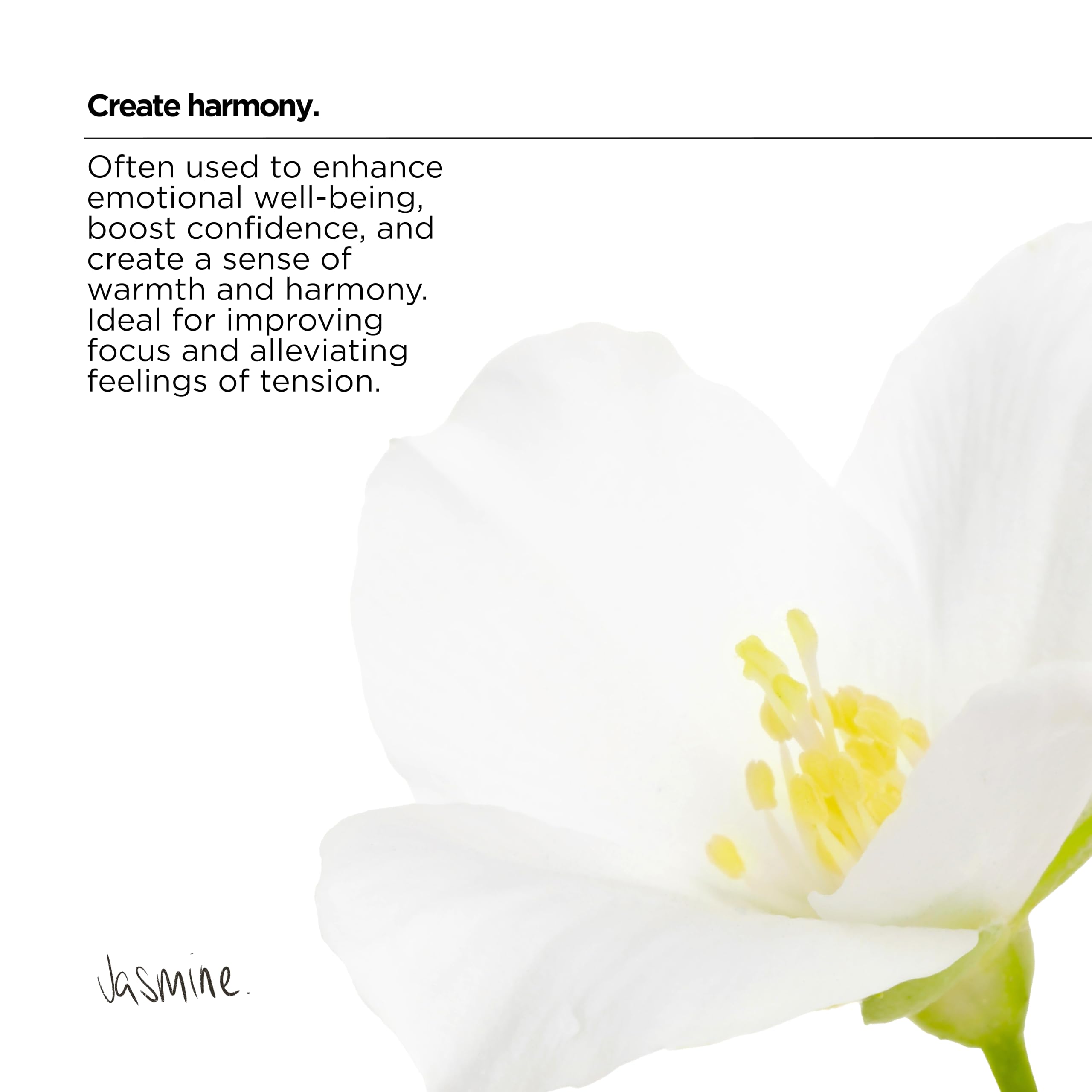 The Lab Co. - Non-Bio Fabric Conditioner Laundry Softener (1 Litre) 4