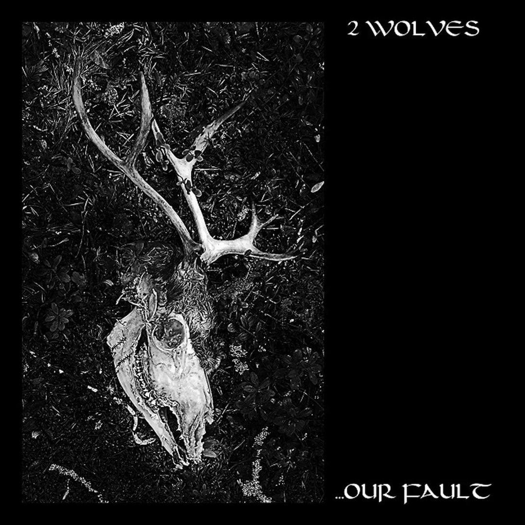 2 Wolves - Our Fault [Audio CD]