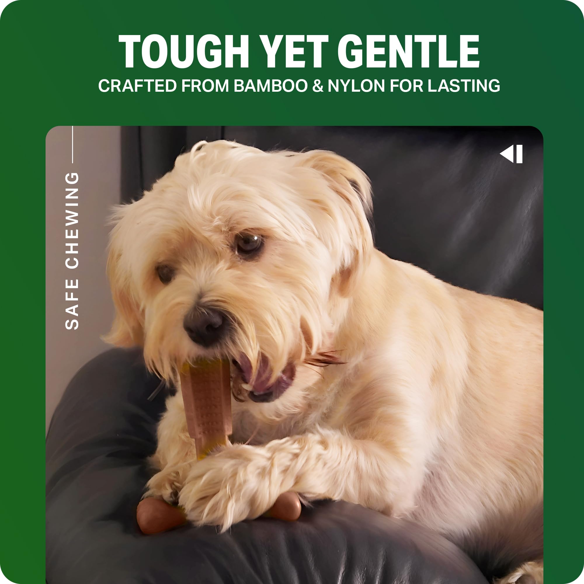 Bamboodles T-Bone Dog Chew Toy - Large Size | Durable Nylon & Bamboo Fibre | Beef Flavour 6