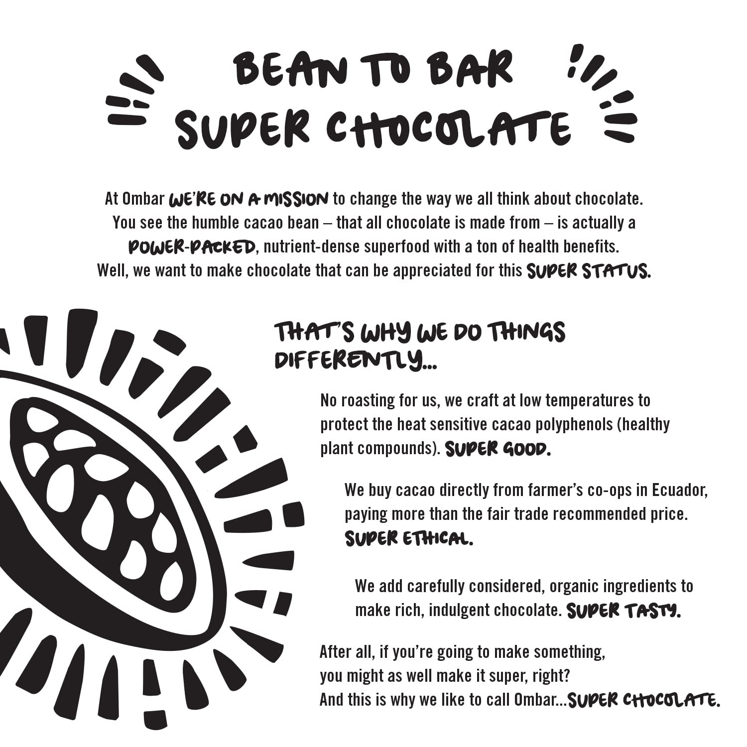 Ombar Salt & Nibs 64%, Vegan, Organic, Fair Trade Chocolate Bar 6