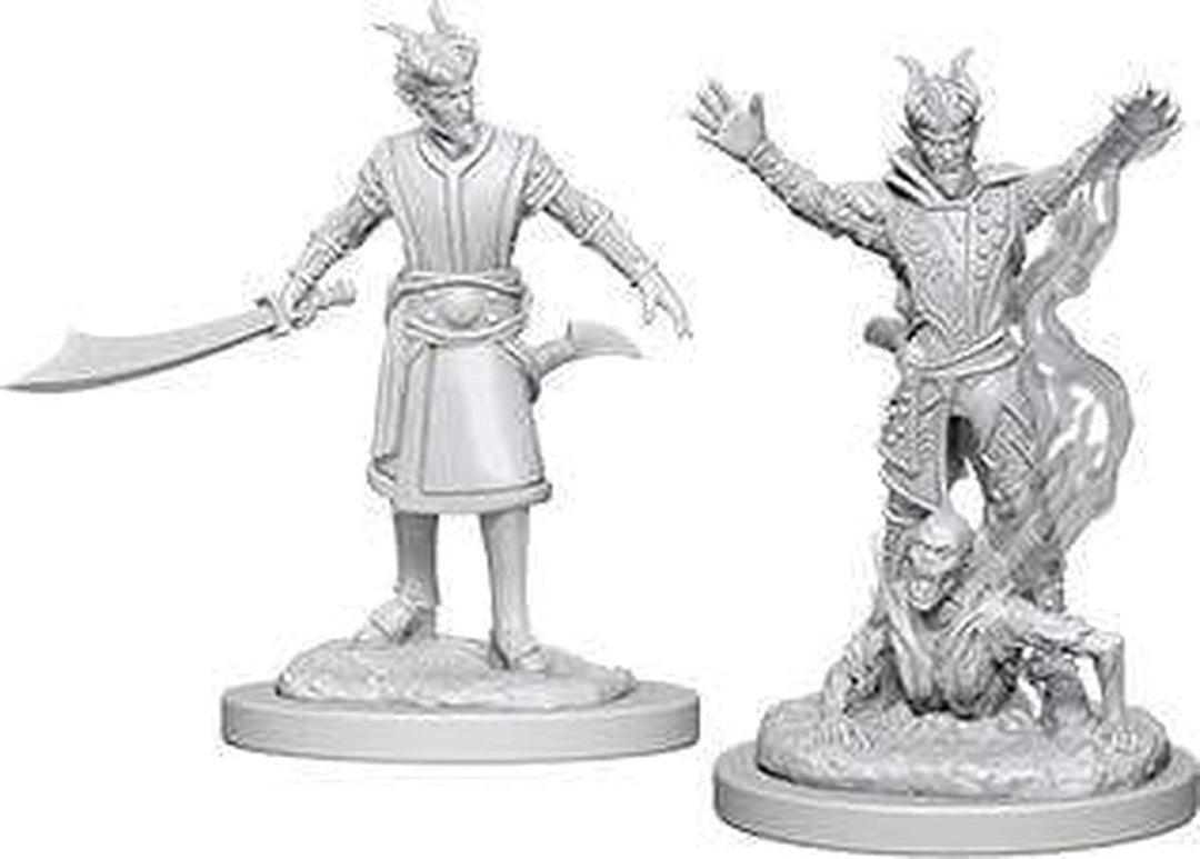 Dungeons & Dragons Adventure Pack Accessories (WK73388)