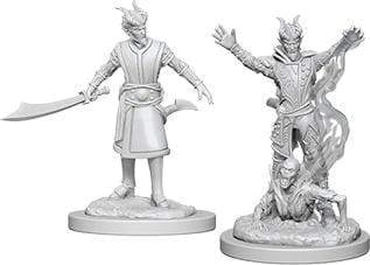 Dungeons & Dragons Adventure Pack Accessories (WK73388)