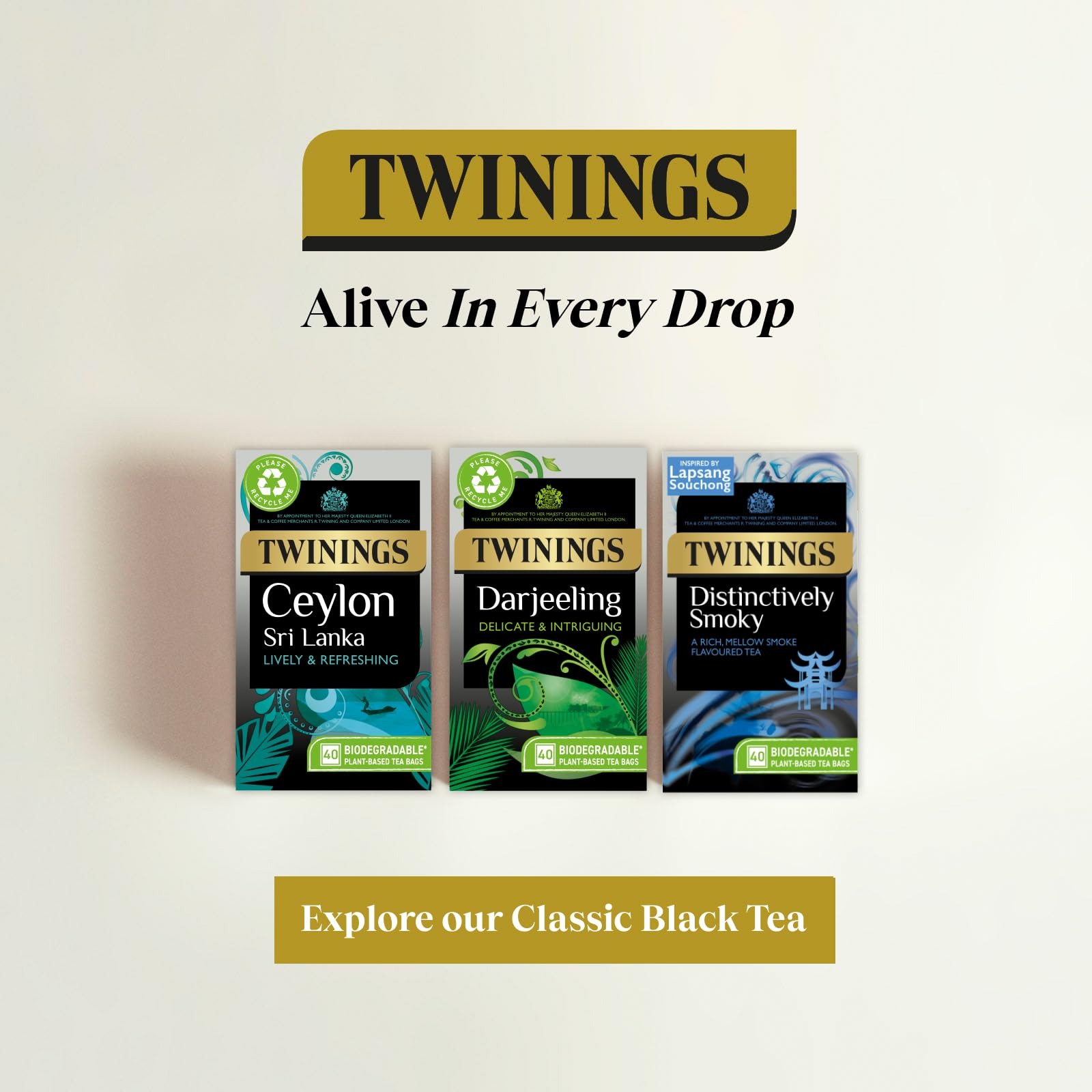 Twinings Darjeeling Black Tea - 40 Vegan Teabags | Light, Delicate Flavor | 100g 6
