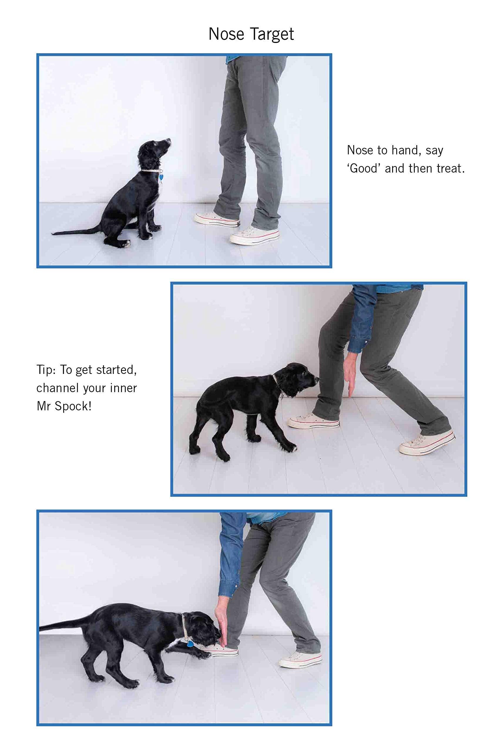 Blink Publishing Easy Peasy Puppy Squeezy - UK's No.1 Dog Training Book by Steve Mann 4