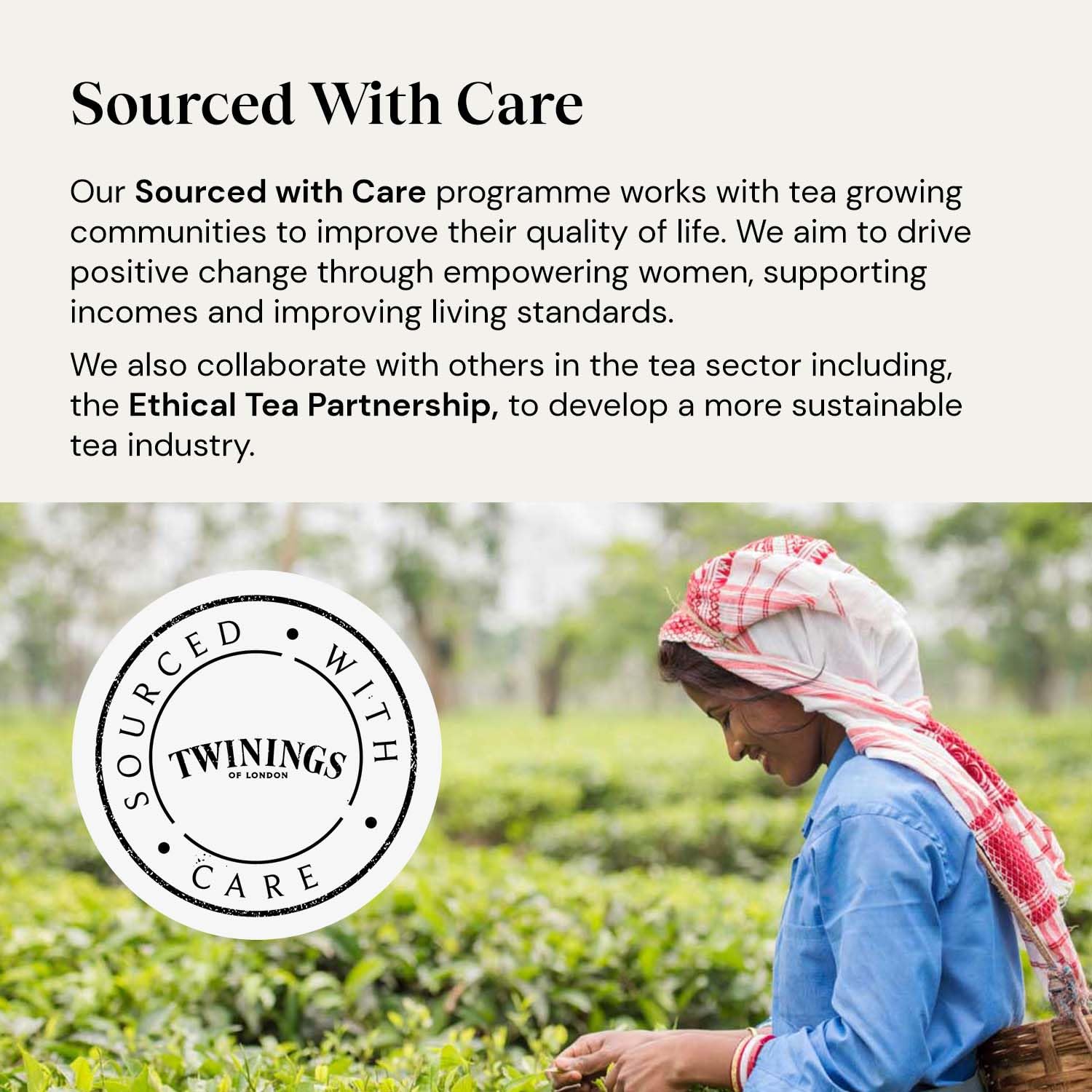 Twinings Superblends Schlaftee – Gewürzter Apfel-Vanille-Kräutertee mit Kamille und Passionsblume – 80 biologisch abbaubare Teebeutel 4