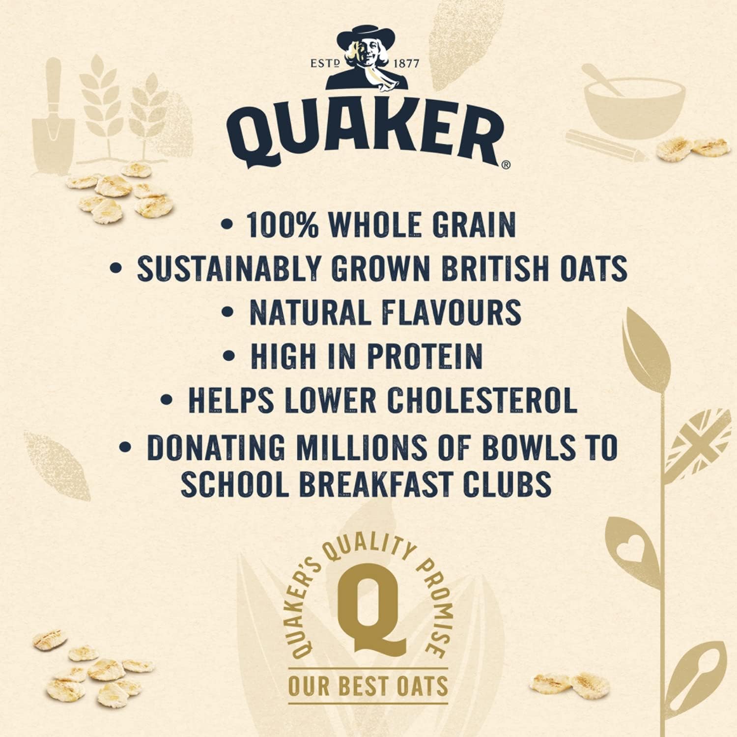 Quaker Oat So Simple Protein Original Porridge, 8 x 37.7g 10