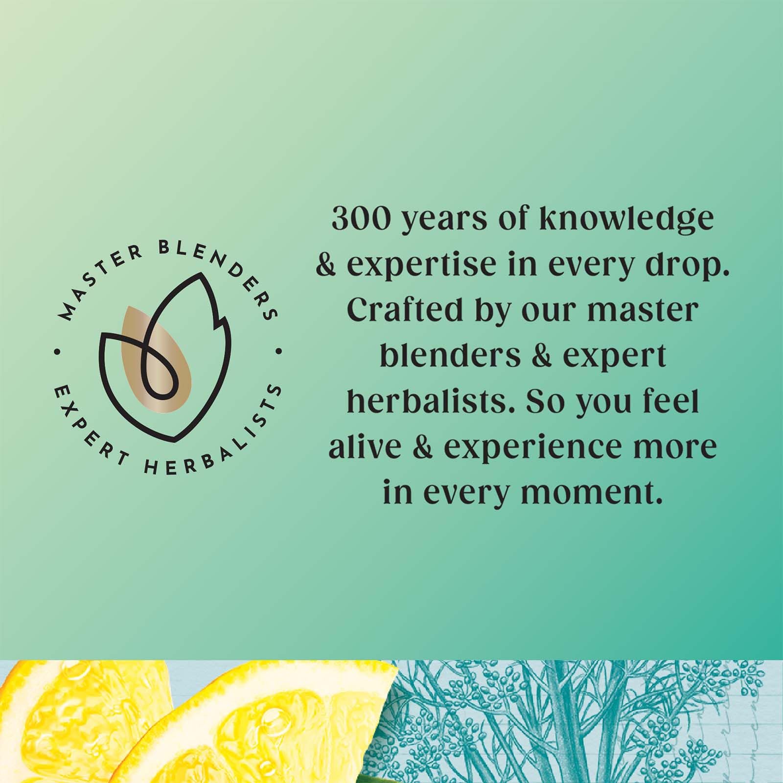 Twinings Detox Lemon Ginger & Burdock Root Herbal Tea Infusion with Fennel & Selenium, 80 Biodegradable Tea Bags 4