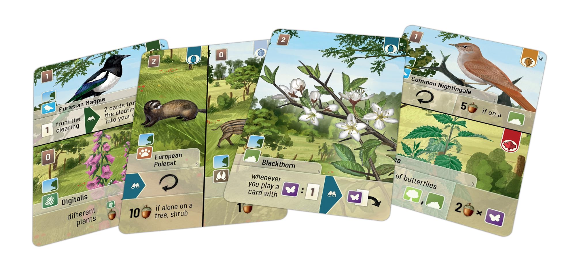 Lookout Forest Shuffle: Woodland Edge Card Game Expansion | Ages 10+ | 2-5 Players | 60+ Minutes